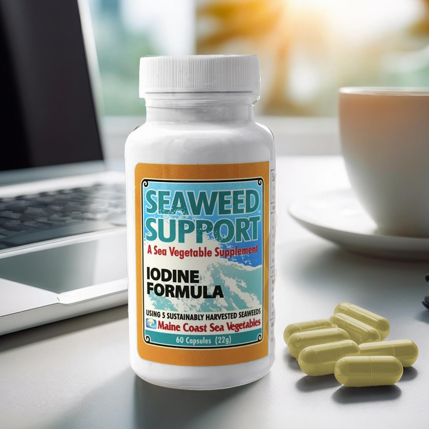 Maine Coast Sea Vegetables Seaweed Support Iodine Formula | Source of Iodine from Seaweed | Daily Use Iodine Supplement | Organic Alaria, Rockweed, Sea Lettuce, Dulse & Bladderwrack blend | 60 Capsule Maine Coast Sea Vegetables Au supplements