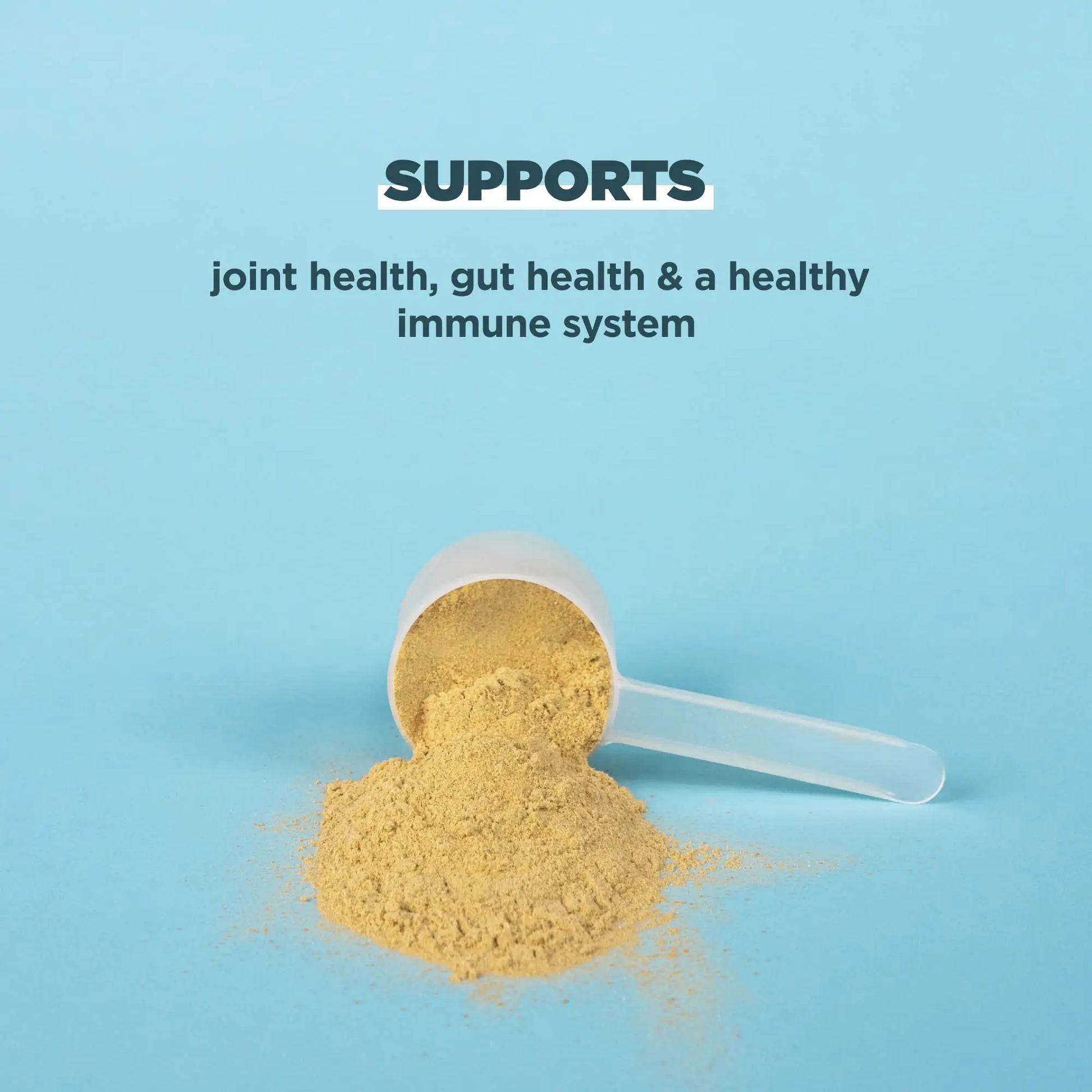 Ancient Nutrition Bone Broth Protein Powder, Pure Flavor, 20 Servings Size Ancient Nutrition Au supplements