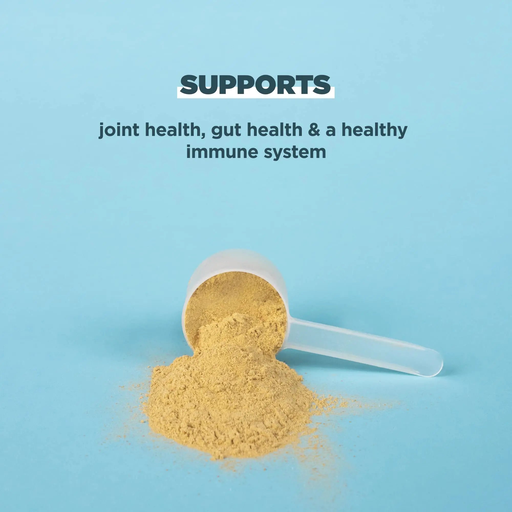 Ancient Nutrition Bone Broth Protein Powder, Pure Flavor, 20 Servings Size Ancient Nutrition Au supplements