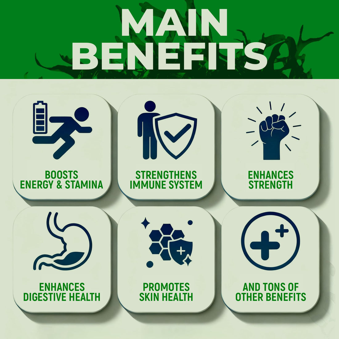 Sea Moss Black Seed Oil Ashwagandha Ginger - Advanced Irish Sea Moss Capsules All in One Supplement with Seamoss Black Seed Oil Ashwagandha Burdock Root Bladderwrack - Pills for Energy, Immune, Gut Opti Health Au supplements