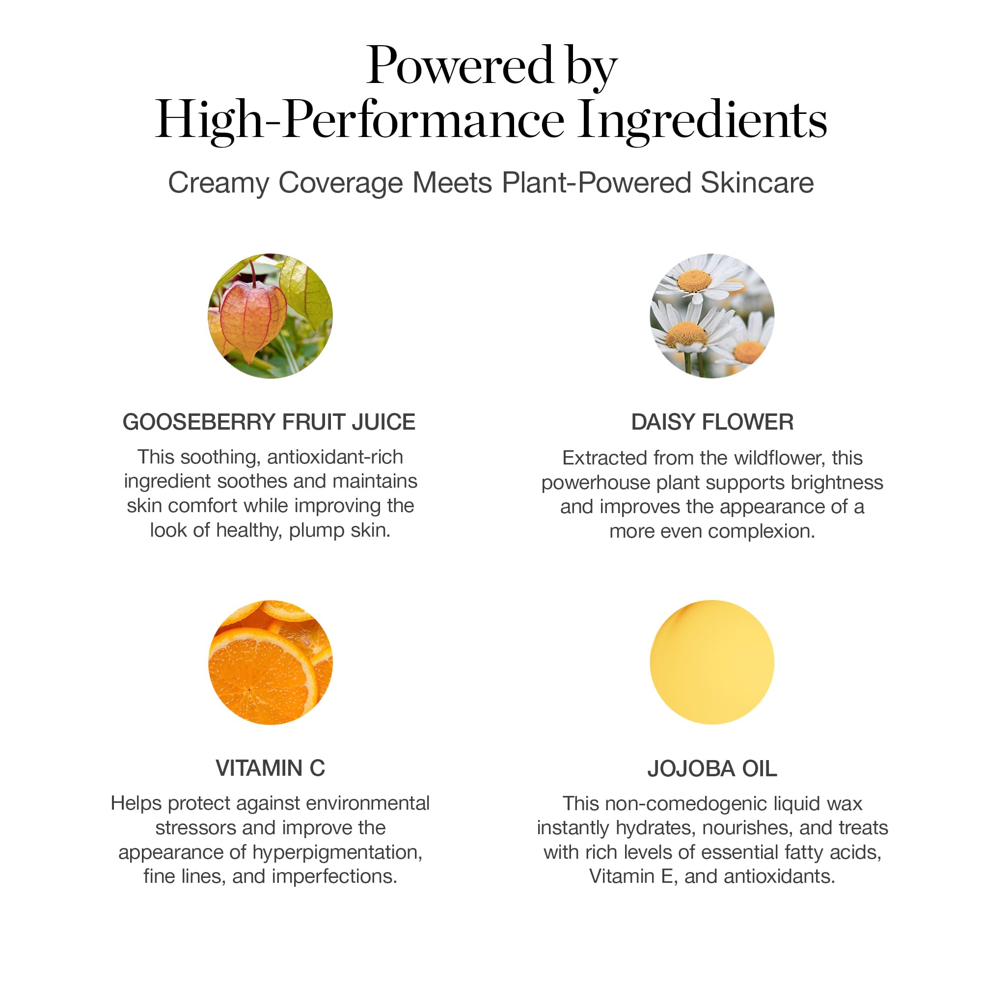 Ogee Complexion Perfecting Liquid Foundation - Lightweight Tinted Moisturizer For Face (Spruce 12.75N - Deep, Bronze Undertones) - with Vitamin C & Jojoba Oil - Certified Organic & Made in USA Ogee Au supplements