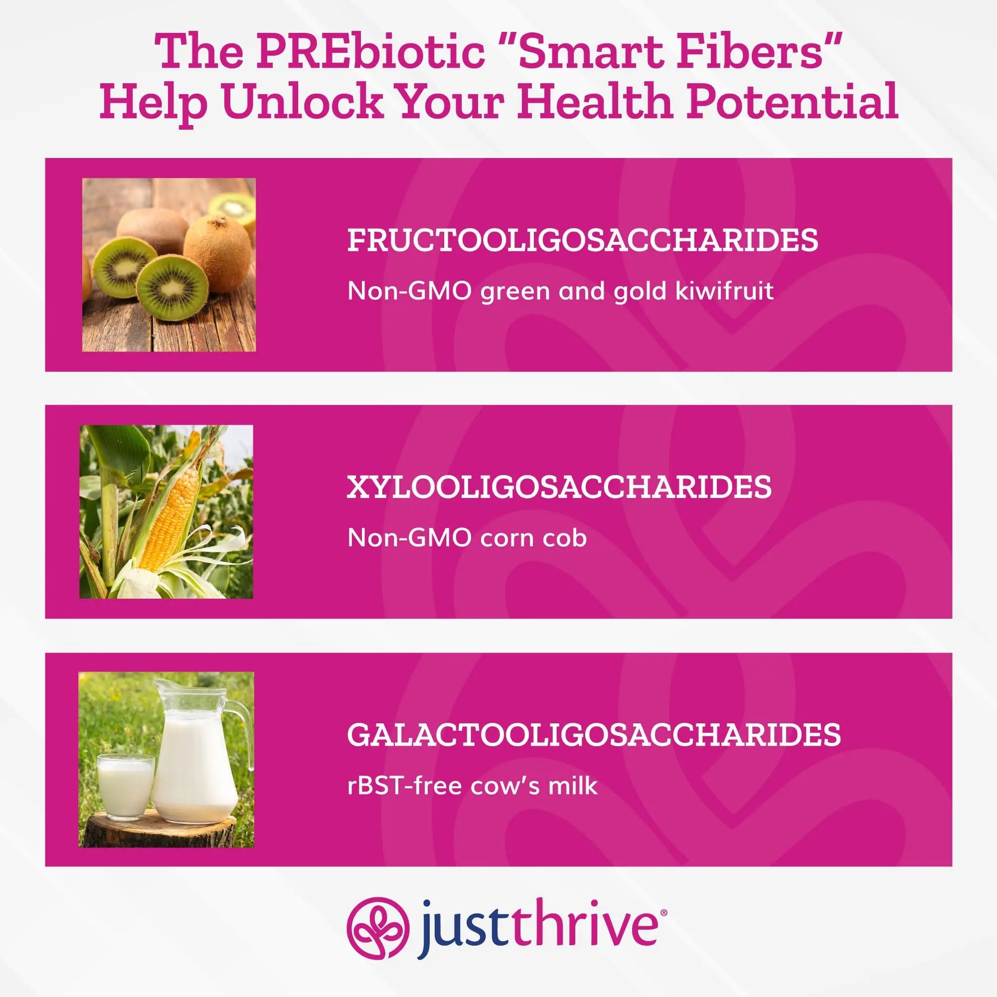 Just Thrive PREbiotic Powder - Digestive and Immune Support Supplement, 150 g Just Thrive Au supplements