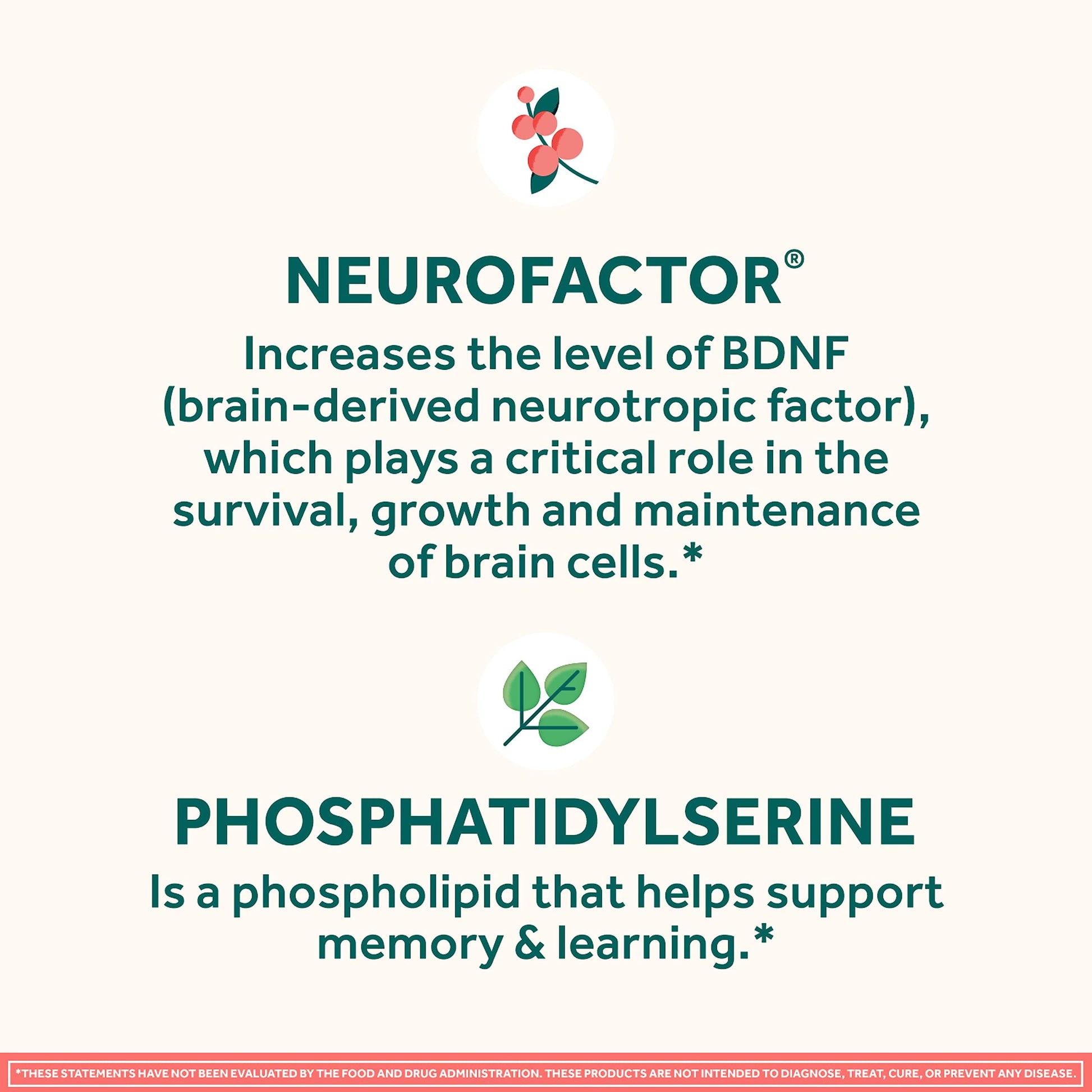 NEURIVA Original Brain Supplement for Memory, Focus & Concentration + Learning & Accuracy with Clinically Tested Nootropics Phosphatidylserine and Neurofactor, Strawberry Flavor, 50 Gummies NEURIVA Au supplements