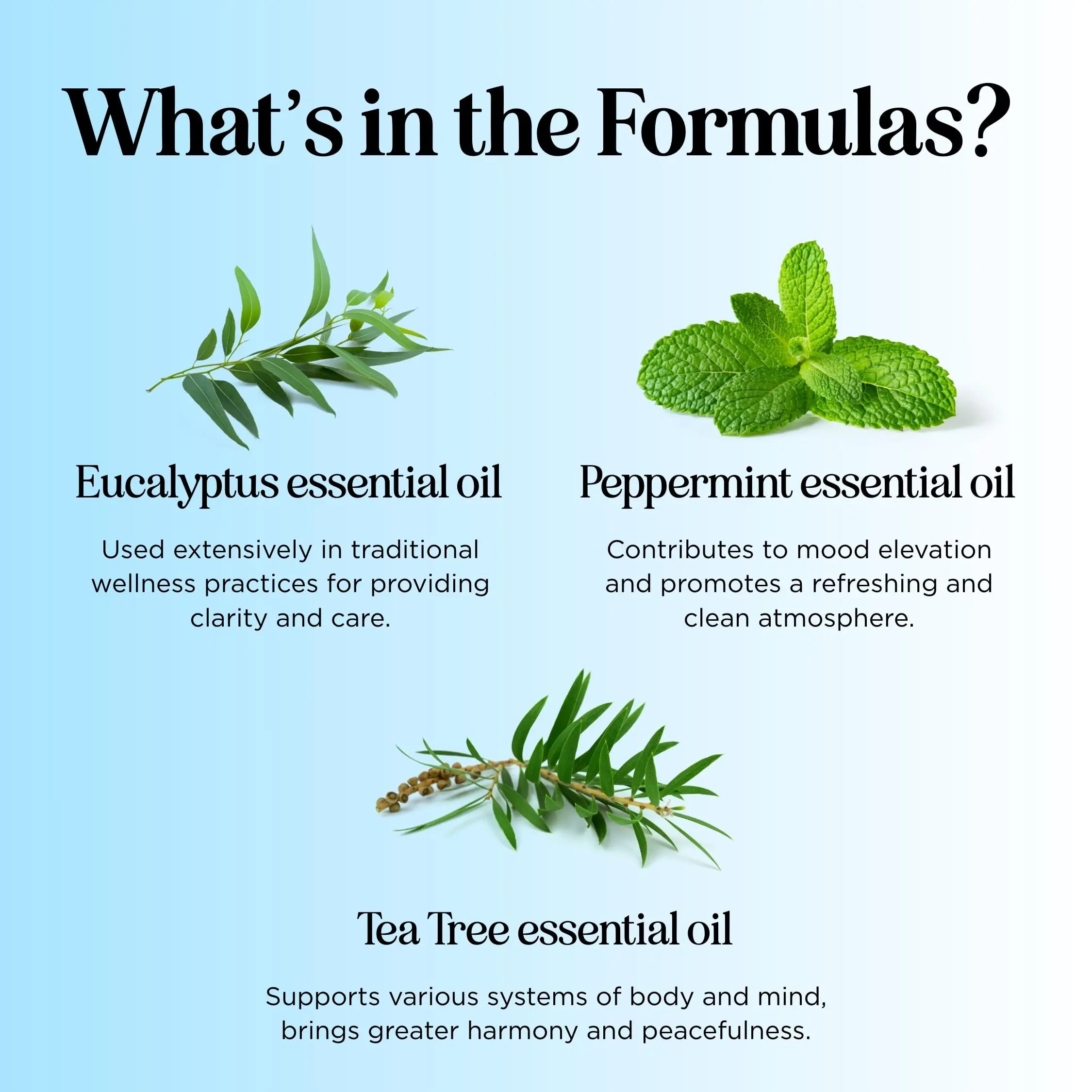 Headache Roll on Essential Oils - Aromatherapy Essential Oils Sets Variety Pack with Peppermint Clarify Maple Holistics Au supplements