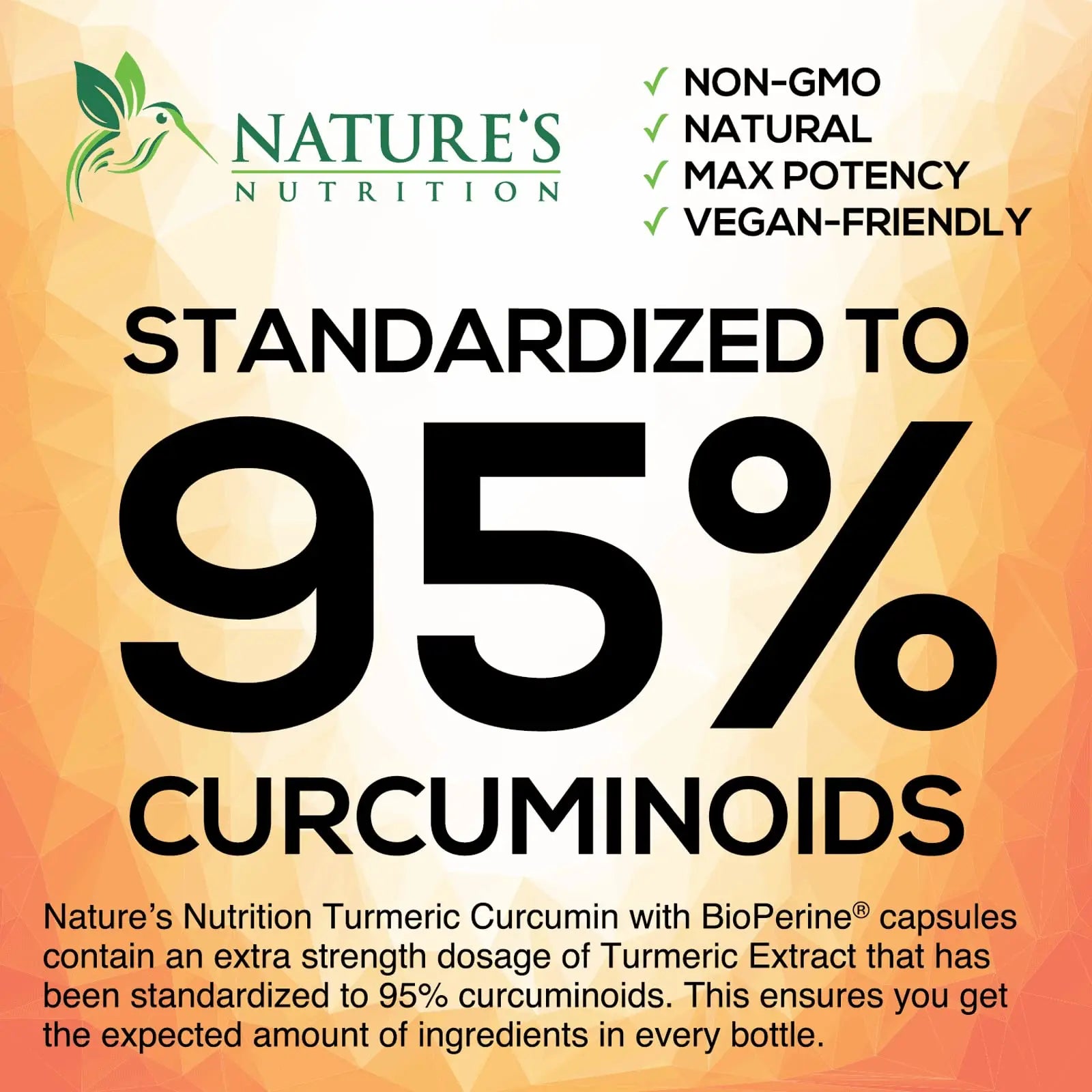 Turmeric Curcumin with BioPerine & Ginger 95% Standardized Curcuminoids Nature's Nutrition Au supplements
