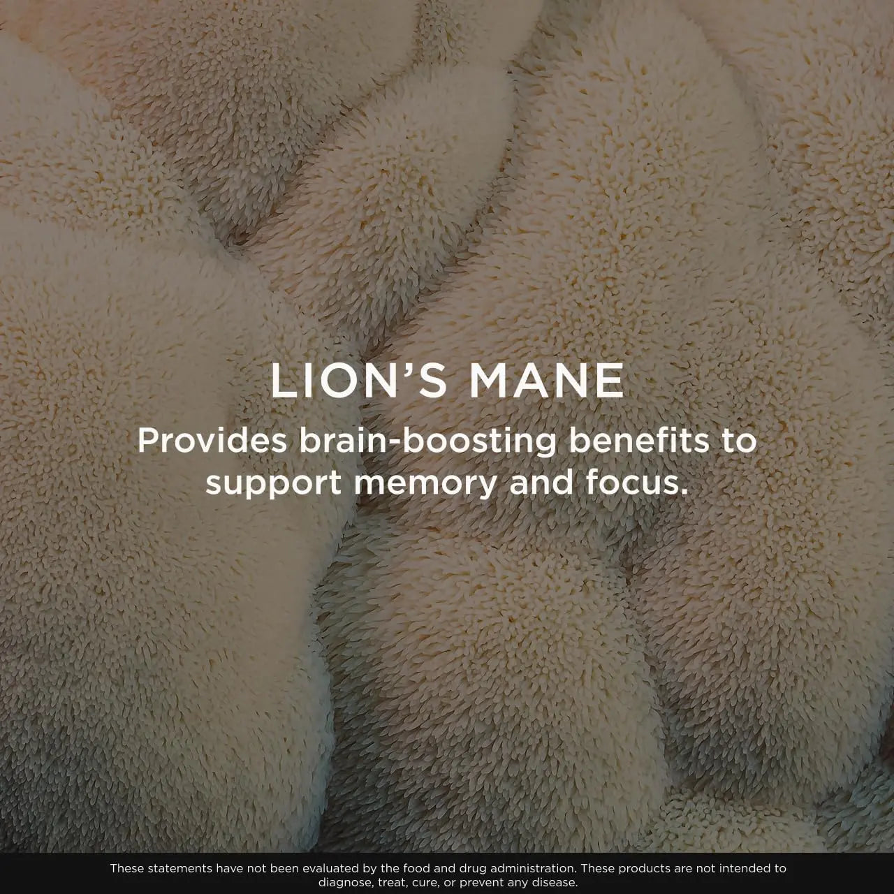 Genius Lion's Mane Soft Chews Supplement – Nootropic Mushroom for Focus, Clarity, Memory, Energy, Brain Health Support – Salted Caramel Flavor The Genius Brand Au supplements