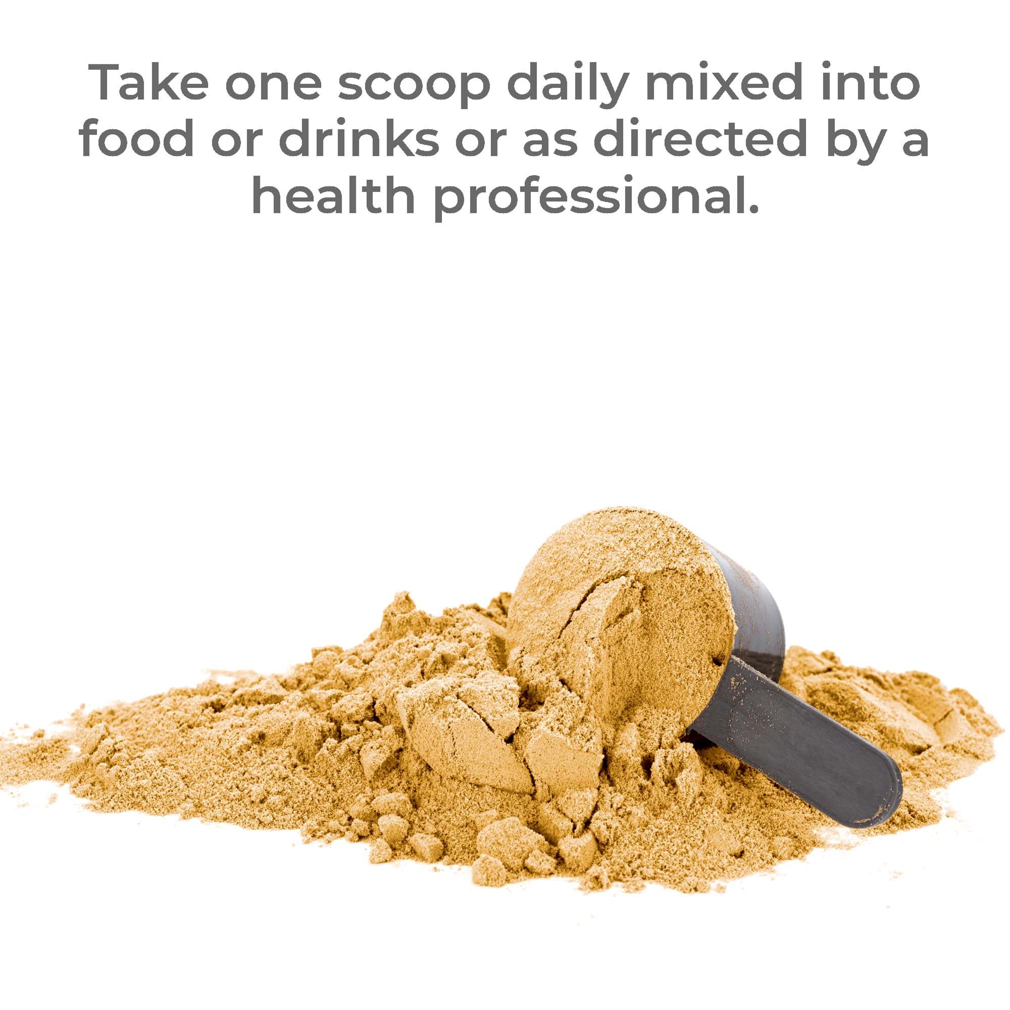 Premier Research Labs Premier Fermented Mushroom Blend - Reishi Mushroom Powder, Mushroom Extract for Drinks, Coffee, Mushroom Complex with Turkey Tail, Cordyceps for Immune & Gut Health - 7.4 oz Premier Research Labs Au supplements