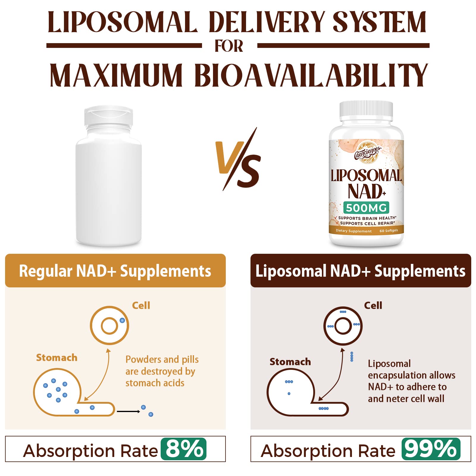 Caenciennes Liposomal NAD+ 500 MG Supplement, True NAD Plus Supplement, Superior Absorption, Boost NAD+ More Efficient Than Nicotinamide Riboside for Cellular Energy, Healthy Aging, 60 Serving Caenciennes Au supplements