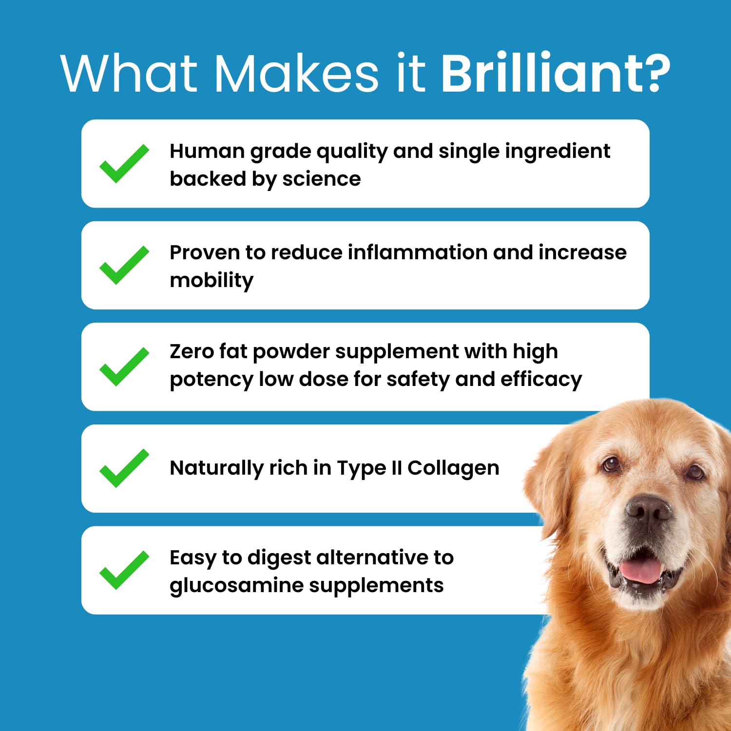 Hofseth BioCare Brilliant Bone & Joint Supplement for Dogs - High Strength Calcium & Collagen Powder for Joint & Hip Support, Essential Supplement for Dog’s of All Ages - 10.6 Oz Hofseth BioCare Au supplements