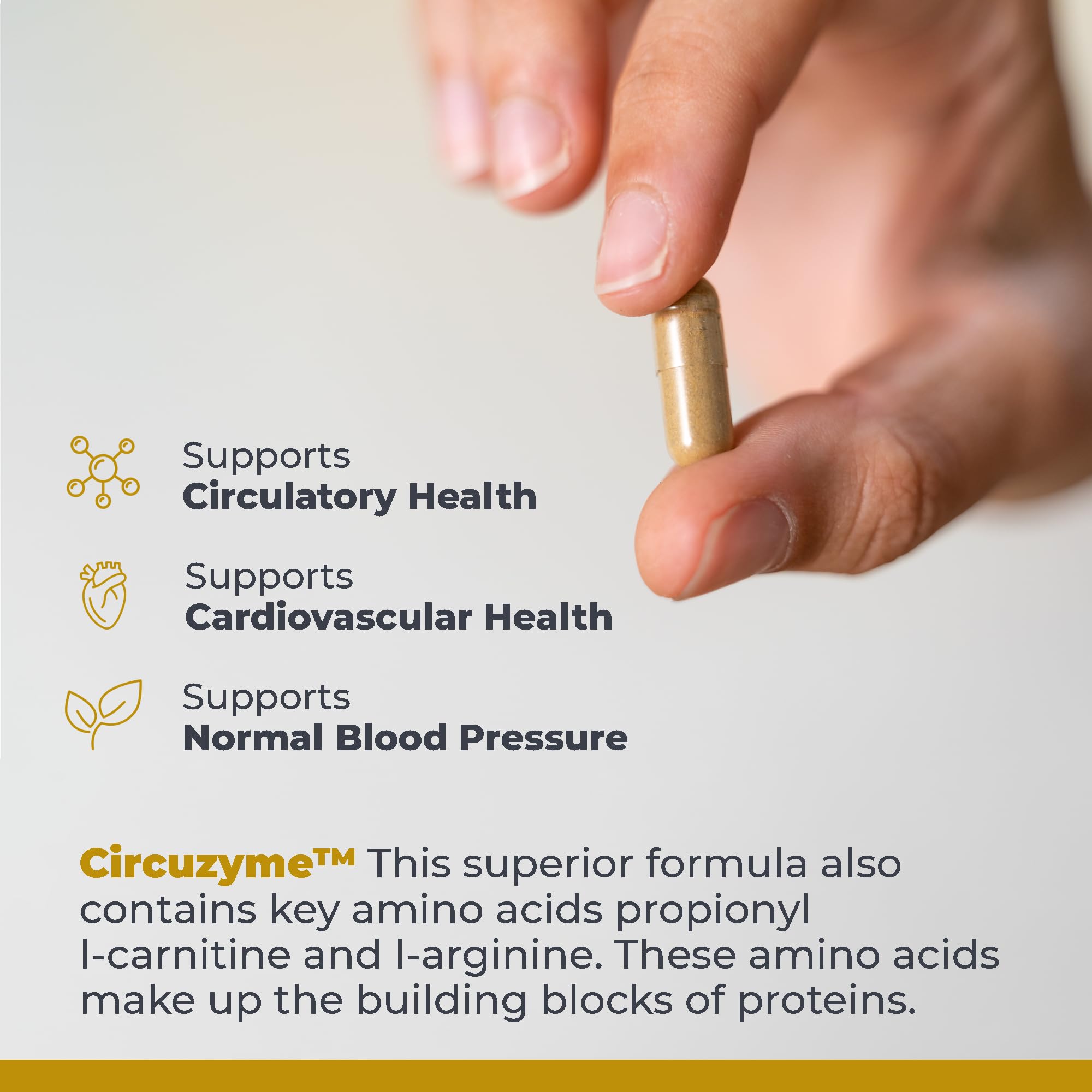 Premier Research Labs CircuZyme - Blood Circulation Supplements Supporting Blood Flow & Vascular Support Featuring Diosmin, Cayenne & Nattokinase, for Men and Women - 60 Vegetarian Capsules Premier Research Labs Au supplements