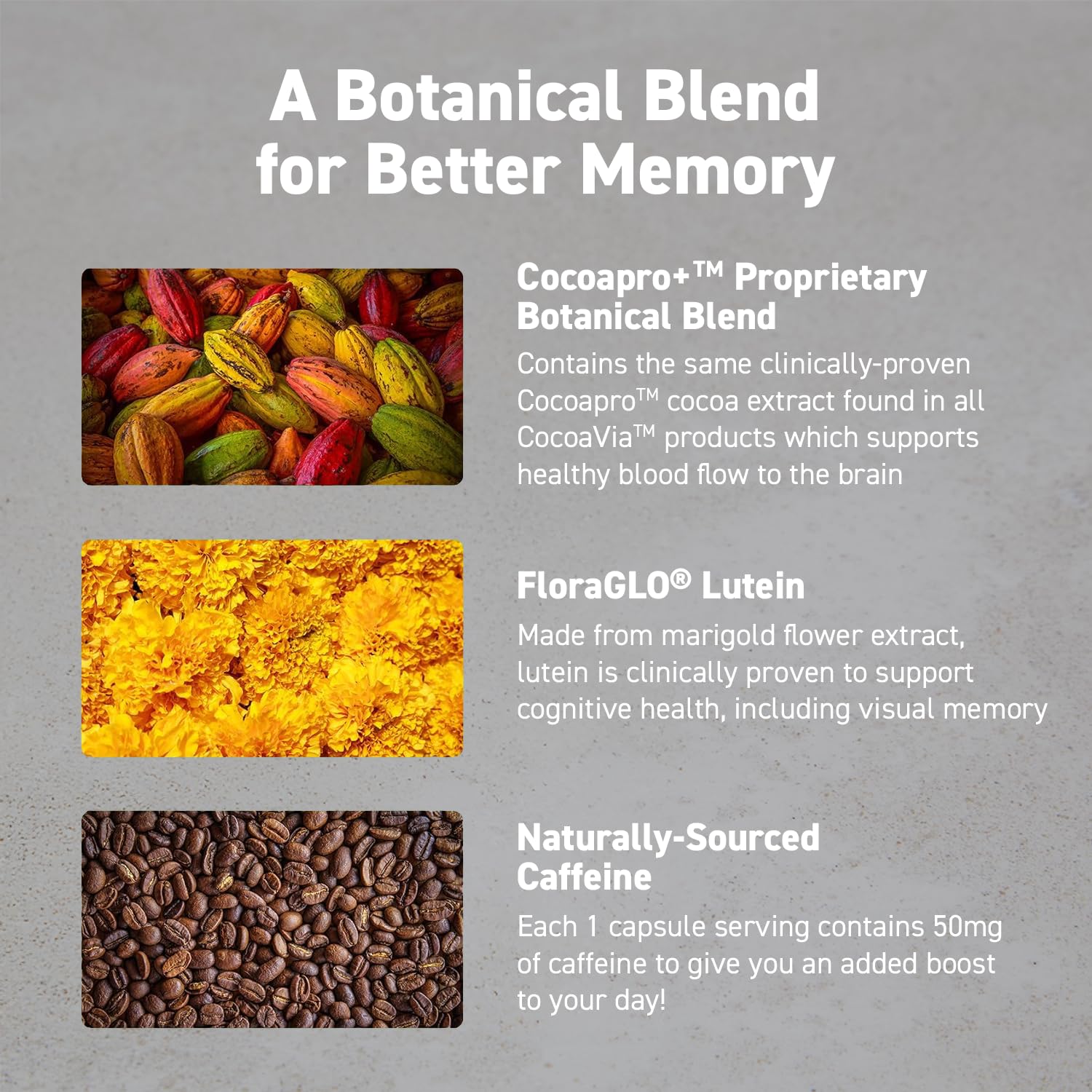 CocoaVia Memory & Focus Brain Supplement, 90 Day, Cocoa Flavanol Blend, Lutein, Added Caffeine for Boost. Improve Cognitive Function, Attention, Vegan & Plant Based, 90 Capsules CocoaVia Au supplements