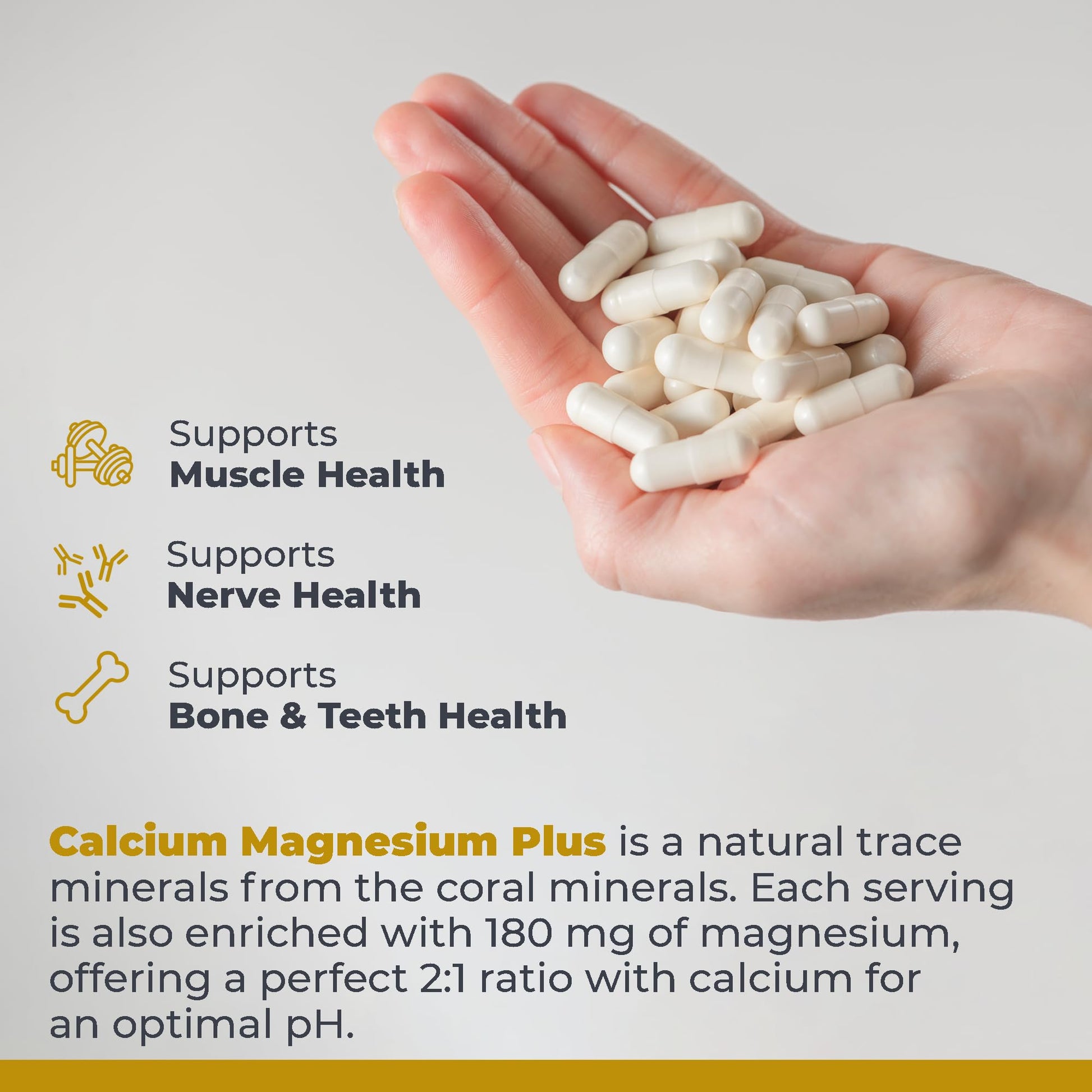 Premier Research Labs Calcium Magnesium Plus - Calcium Magnesium Supplement, Calcium Supplement for Bone Health, with Mushroom Complex - Reishi & Lions Mane - 90 Vegetarian Capsules Premier Research Labs Au supplements