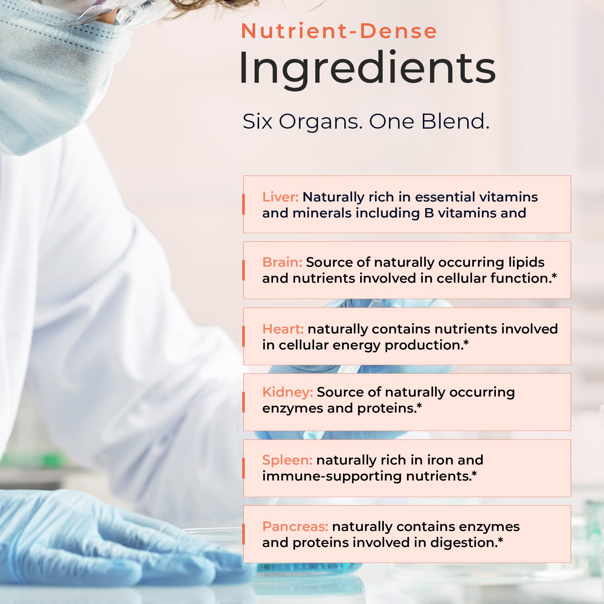 Molecular Fertility Beef Organ Complex - Pasture-Raised, Grass Fed Beef Liver, Brain, Heart, Spleen, Pancreas Blend, Healthy Hormone Balance and Fertility Supplement for Women and Men, 180 Capsules Molecular Fertility Au supplements