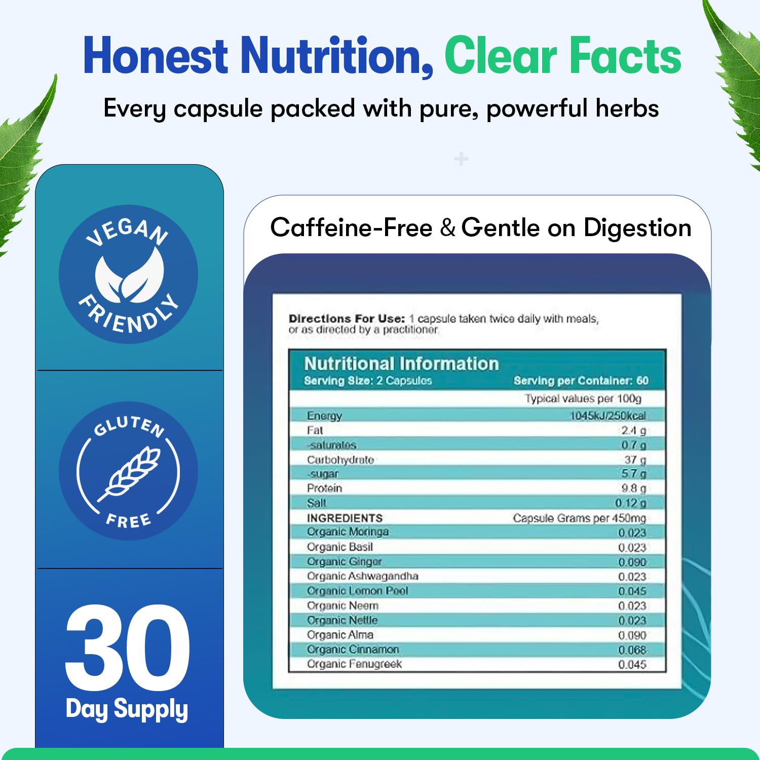 Zyzven Naturals Blood Sugar Support Supplement – 60 Vegan Capsules | Herbal Supplement with Moringa, Cinnamon, Ginger, Neem & Fenugreek | Plant-Based Wellness Supplement - Serving: 2 Capsules/Day Zyzven Naturals Au supplements