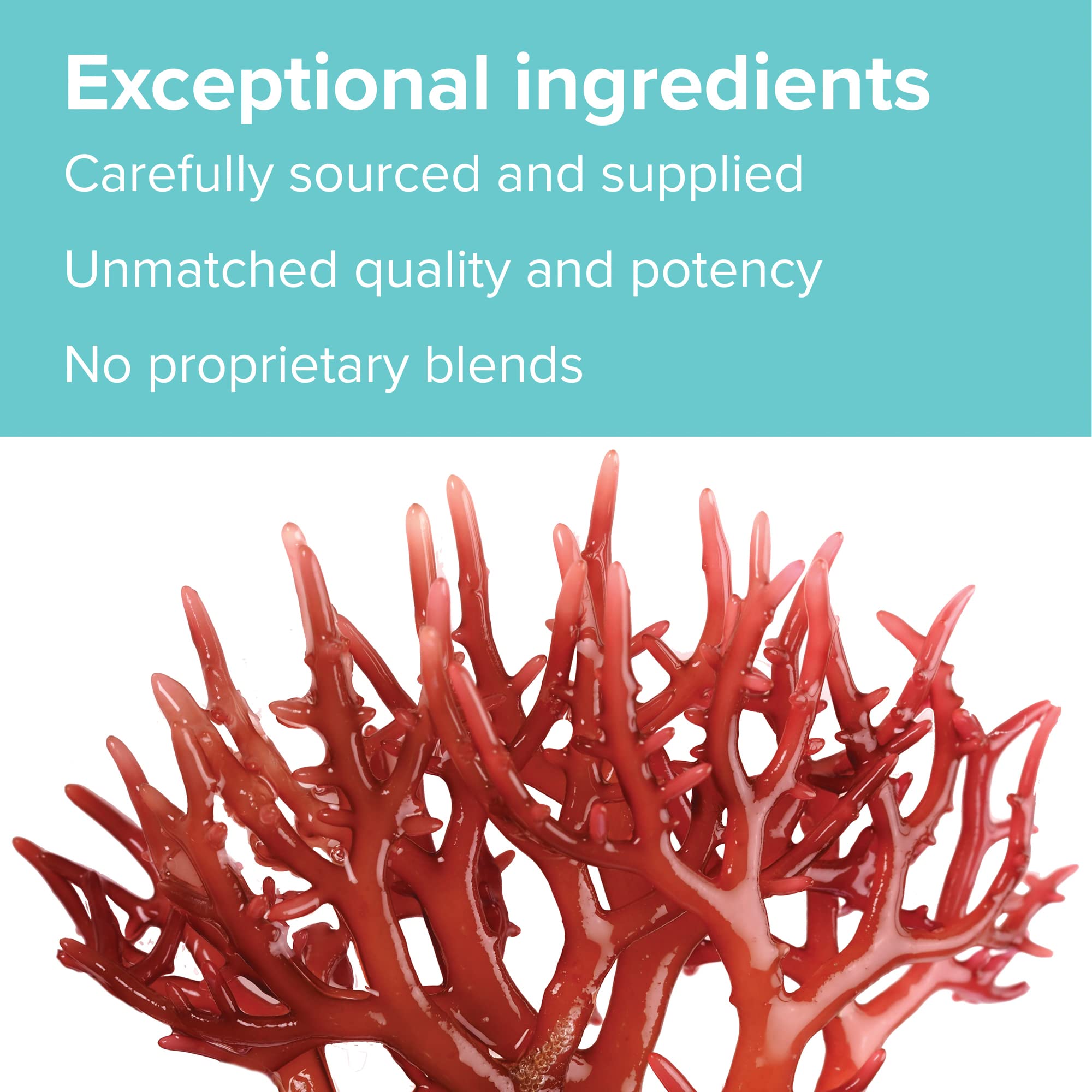 Vibrant Health, Gigartina Red Marine Algae, Plant-Based Immune Support, 60 Capsules Vibrant Health Au supplements