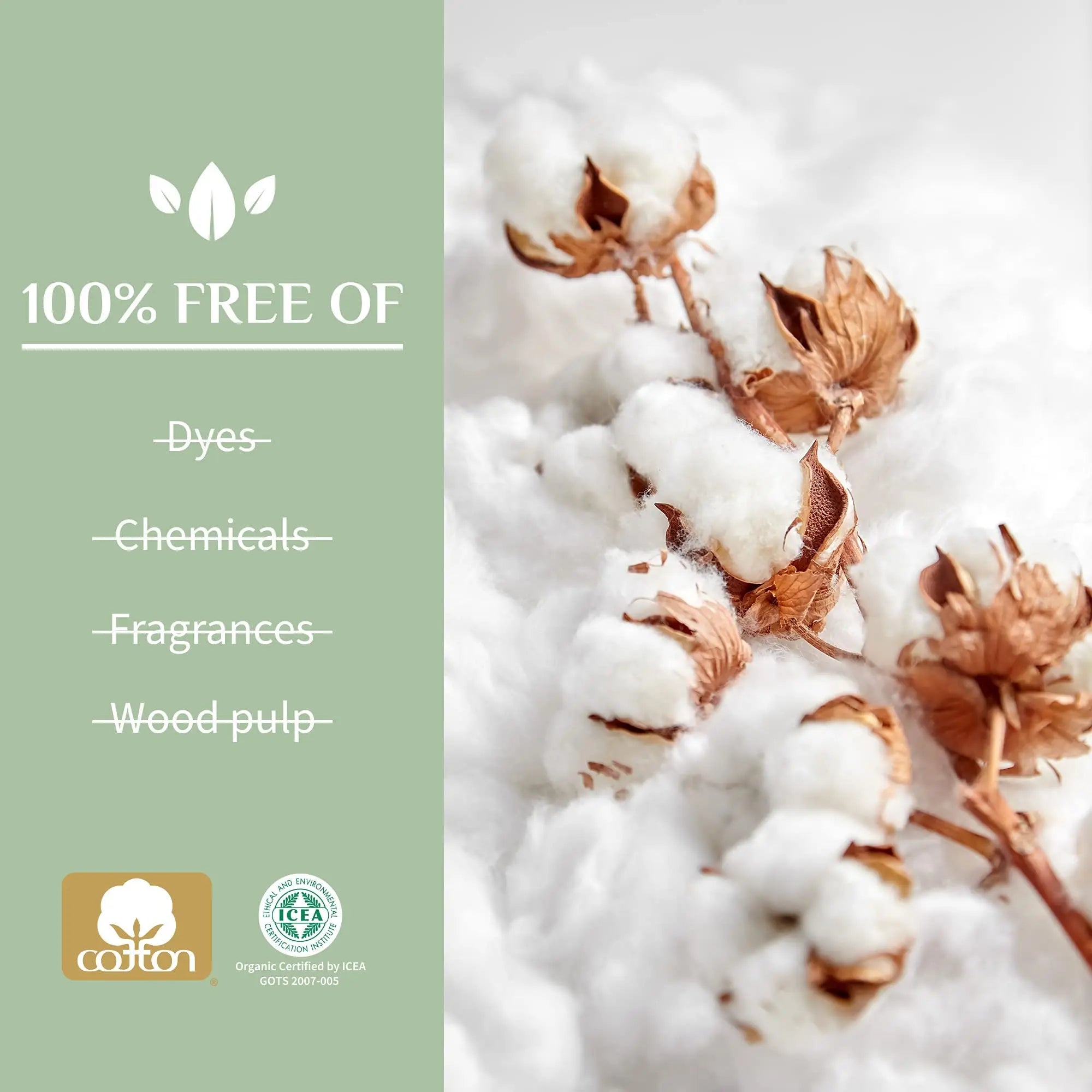 Organyc 100% Organic Cotton Light Incontinence Liners for Bladder Leakage Control Organyc Au supplements