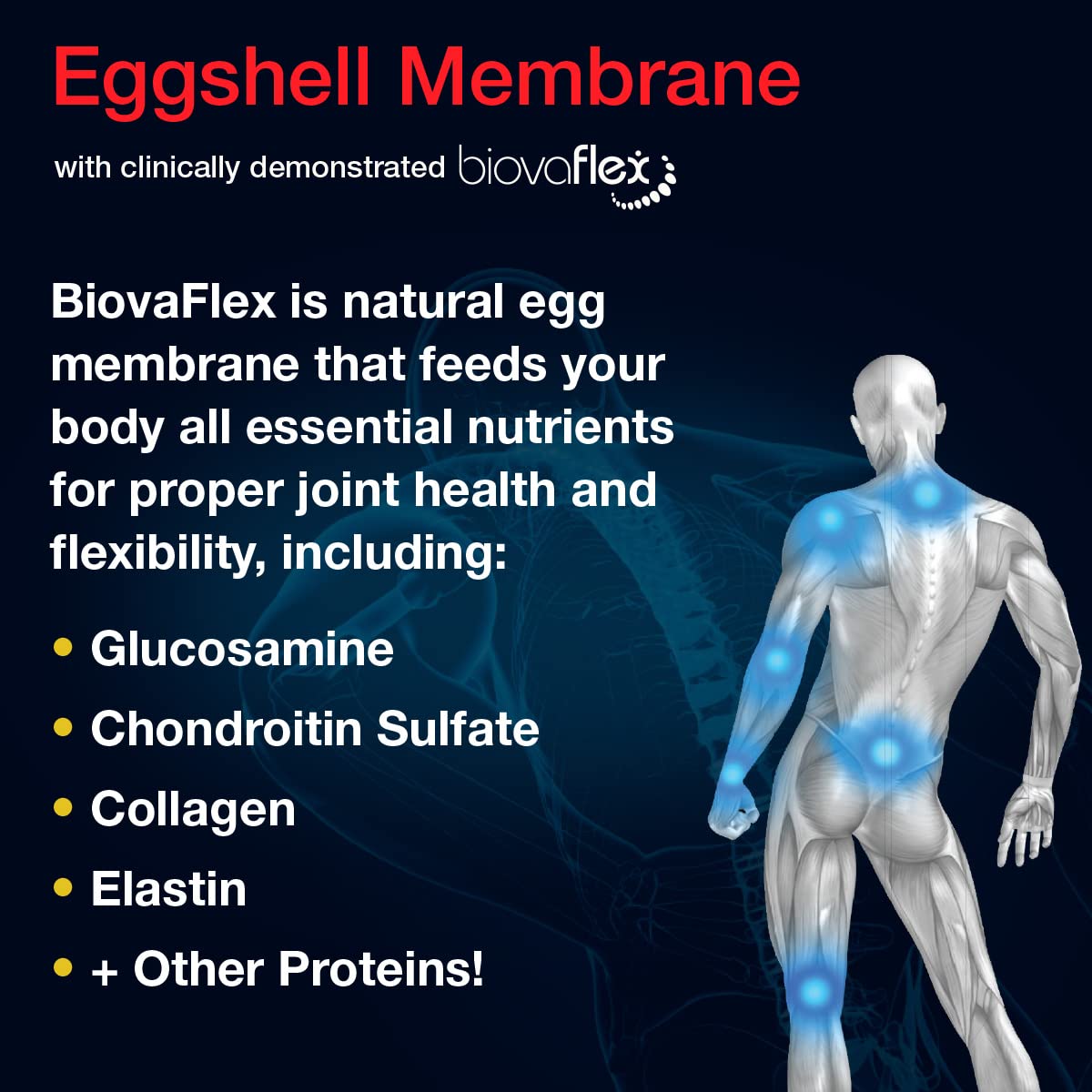 Aurora Nutrascience Micro-Pack Liposomal exoFlex+ with Vitamin C, Supports Joint Flexibility & Function, BiovaFlex Eggshell Membrane, Curcumin & Boswellia, Strwaberry Flavor, 30 Servings, 10 fl oz Vida Lifescience Au supplements
