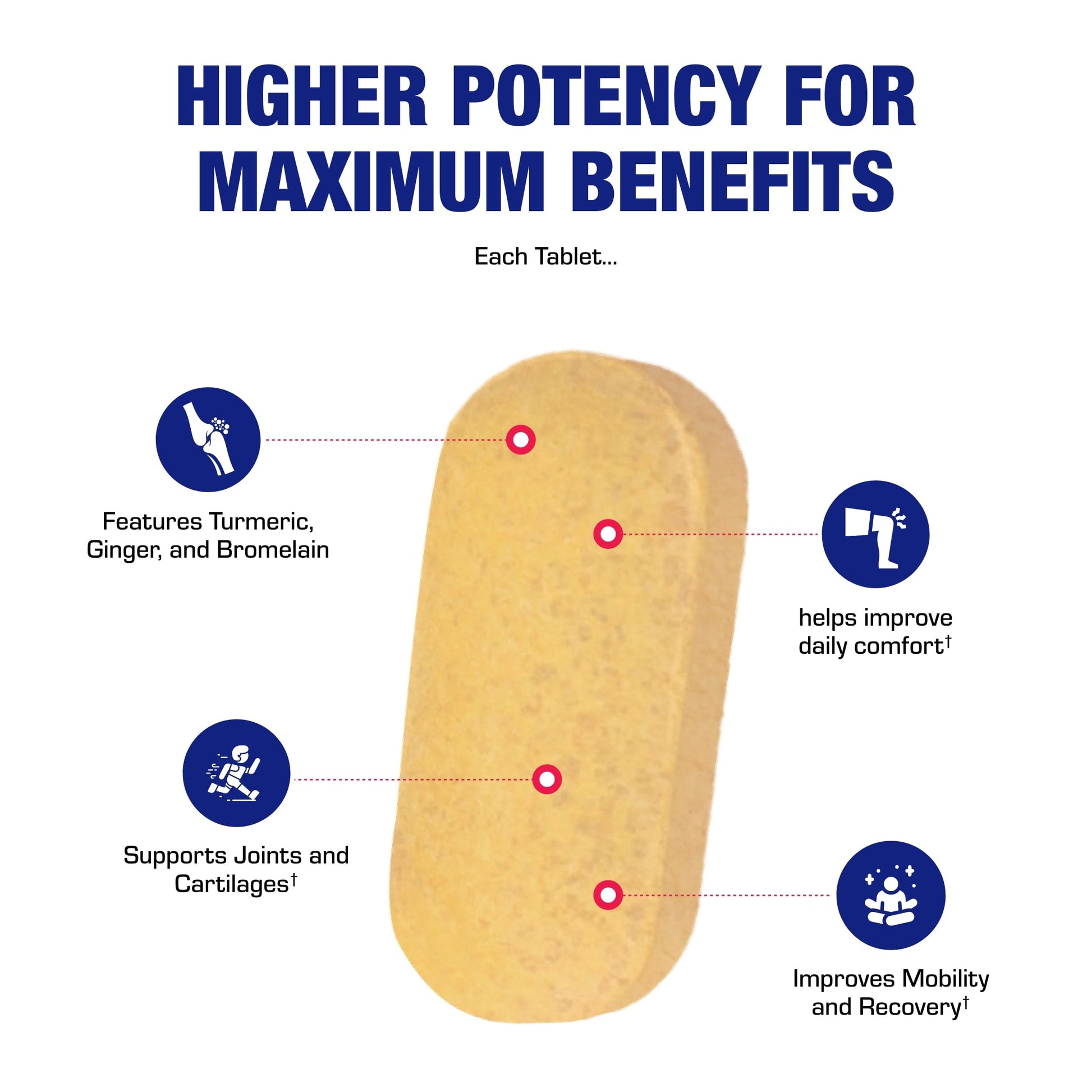 Pro ENZ Joint Support Supplement - Clinical Formula Turmeric Boswellia Supplement for Joint & Cartilage Mobility and Comfort Support Plus Eicosanoid Management with Proteolytic Enzymes (120 Servings) Anabolic Laboratories Au supplements