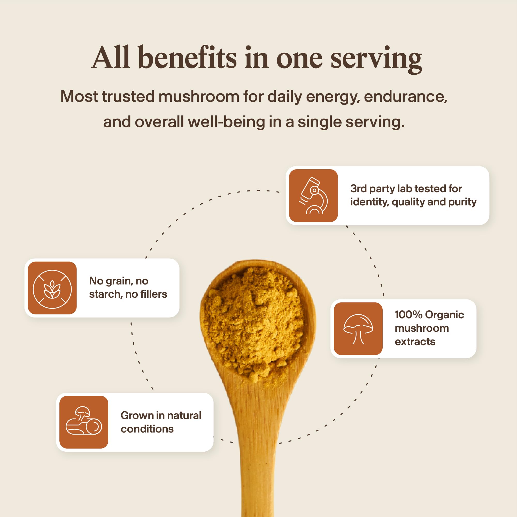 Real Mushrooms Supplement Capsules - Cordyceps Mushroom Powder Rich in Beta Glucans - Mushroom Pills Cordyceps for Energy and Performance - Vegan, Non-GMO, No Grain Fillers, 120 ct Real Mushrooms Au supplements