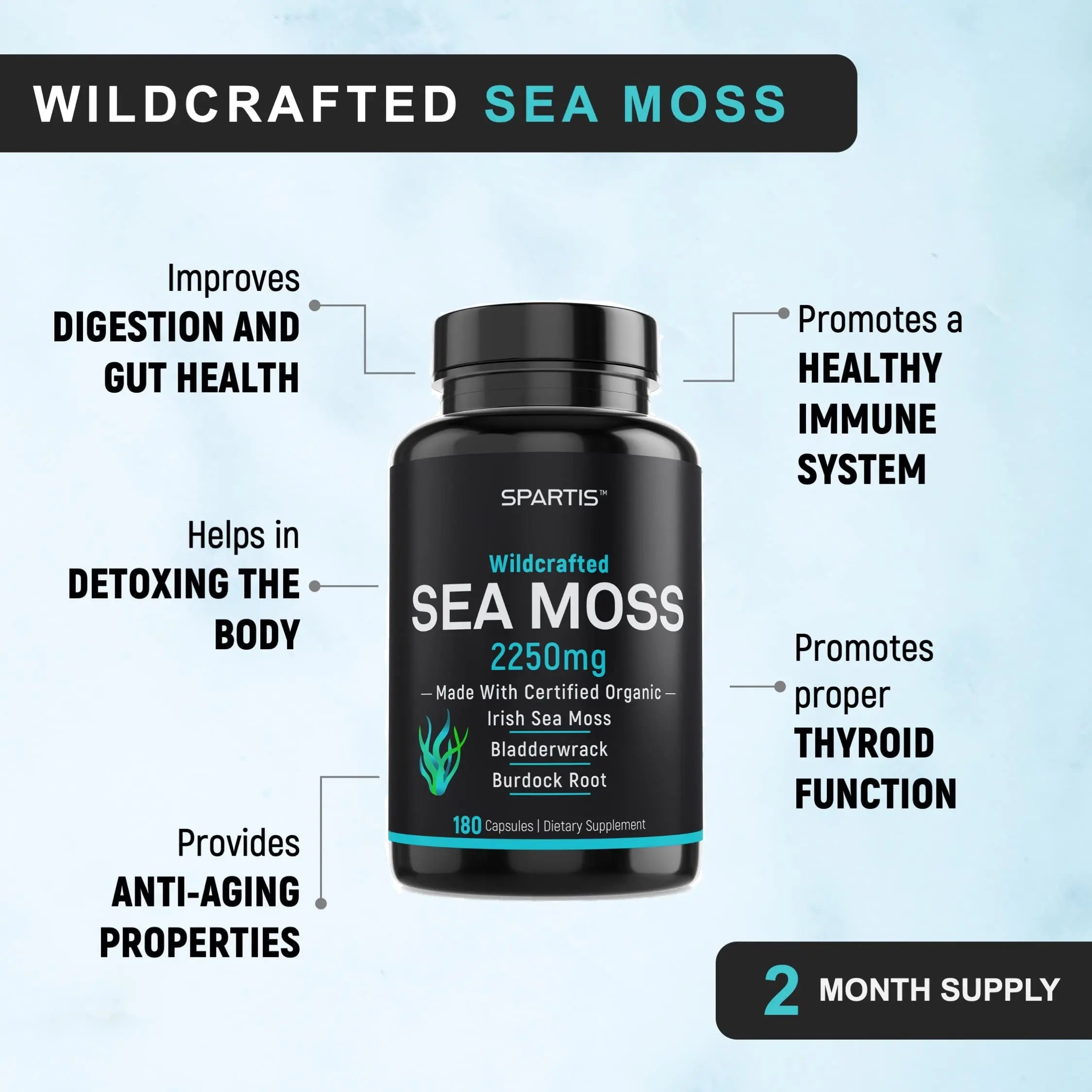 Certified Organic Sea Moss Capsules 2250mg Wildcrafted Irish Sea Moss Burdock Root SPARTIS Au supplements