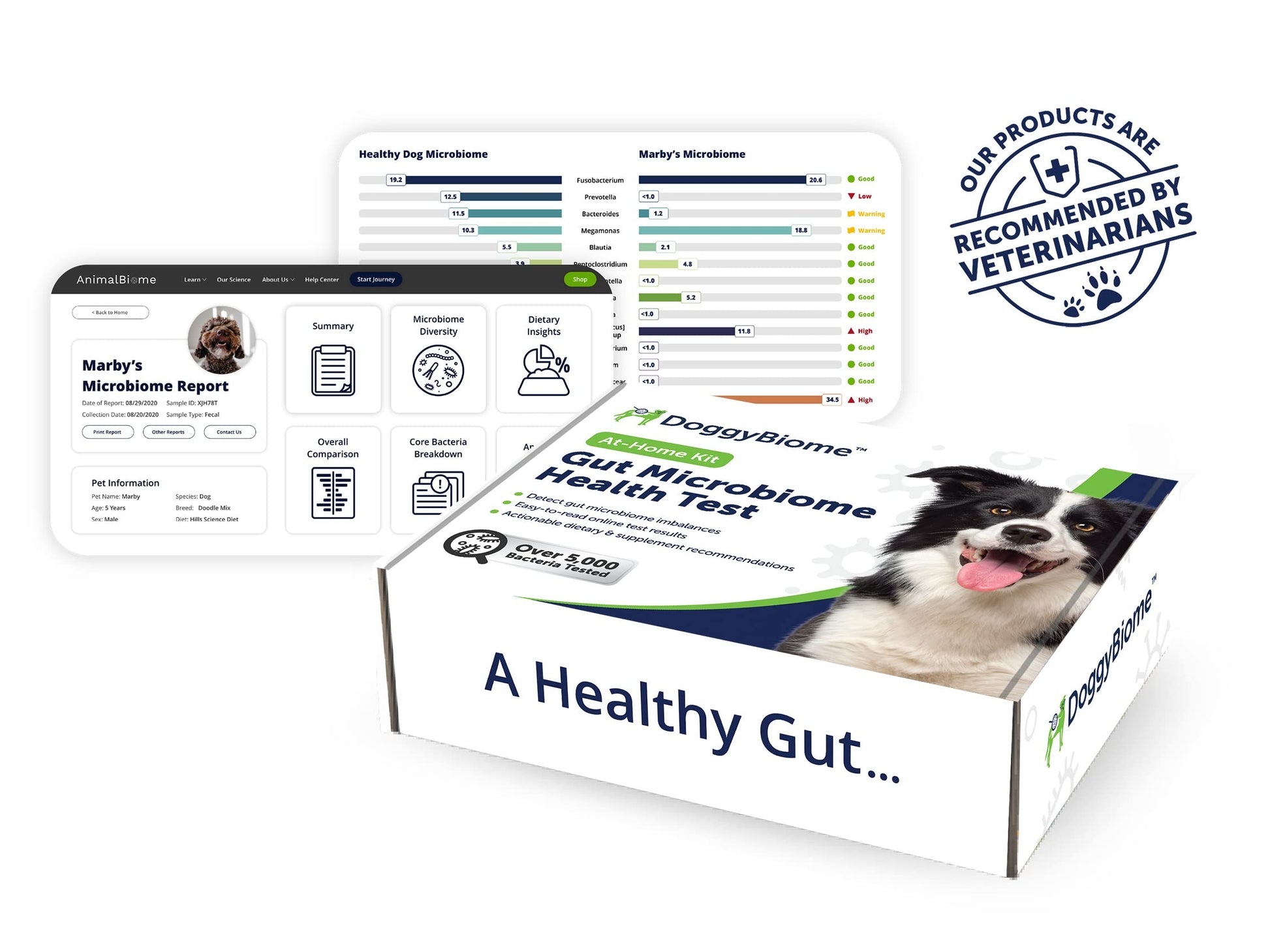 AnimalBiome Dog Gut Health Test – DoggyBiome At Home Stool Testing Kit, Canine Fecal Analysis for Digestive Issues, Diarrhea & Allergy Insights w/Personalized Report & Custom Plan (Dogs in US) AnimalBiome Au supplements