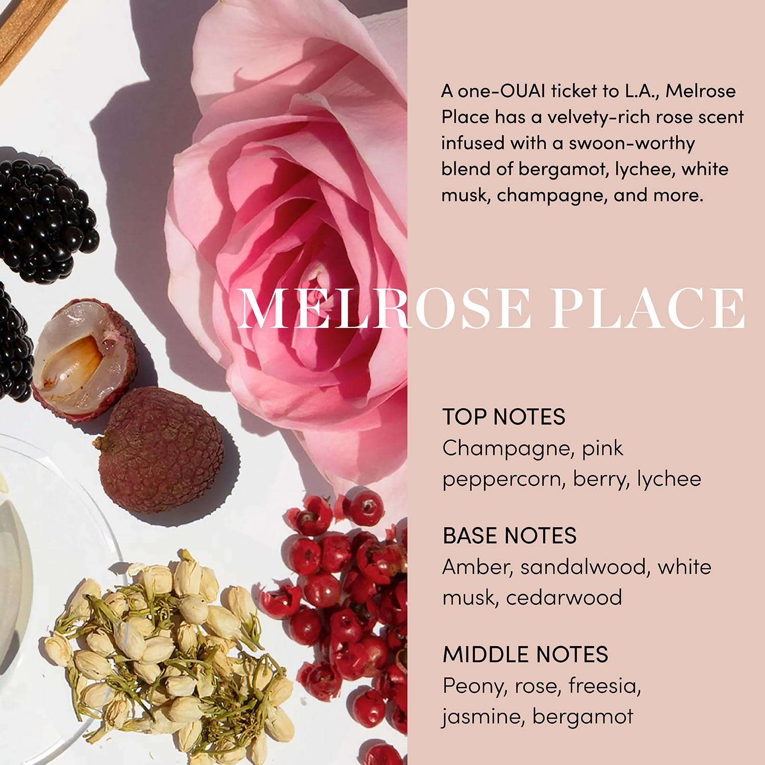 OUAI Body Cleanser, Melrose Place - Foaming Body Wash with Jojoba Oil and Rosehip Oil to Hydrate, Nurture, Balance and Soften Skin - Paraben, Phthalate and Sulfate Free Skin Care Products (10 Fl Oz) OUAI Au supplements