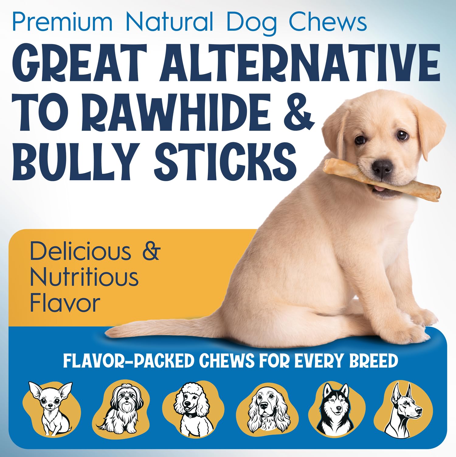 FETCHERONI 6" Collagen Sticks for Dogs – Low Odor Long-Lasting Bully Stick & Rawhide Alternative, Single Ingredient Beef Bone, High Protein Dental Treat, Vet Approved, Improves Joint Health – 5 Pack FETCHERONI Au supplements