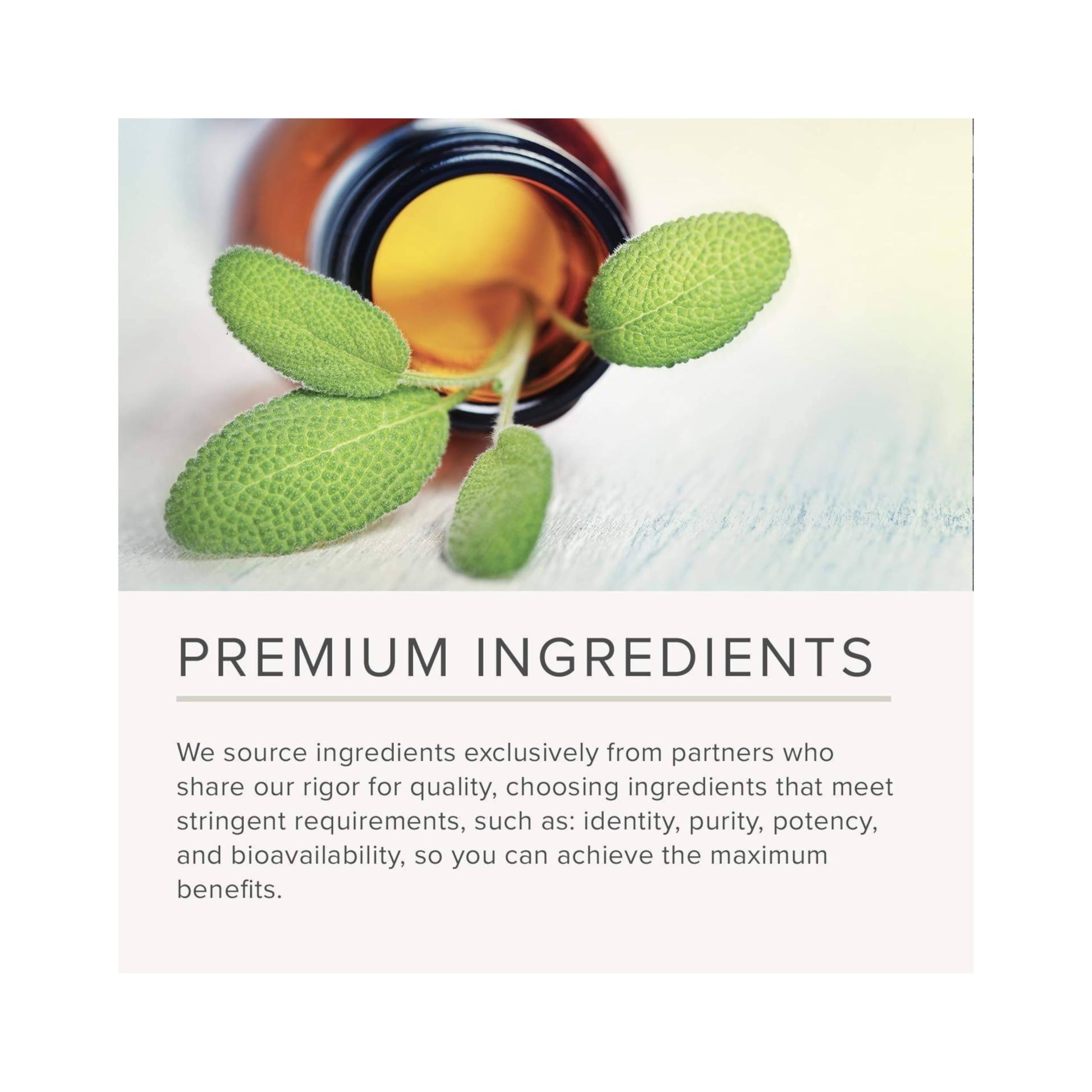 NusaPure Bilberry Extract 5,000mg 200 Vegetarian caps (Non-GMO, Vegan) NusaPure Au supplements