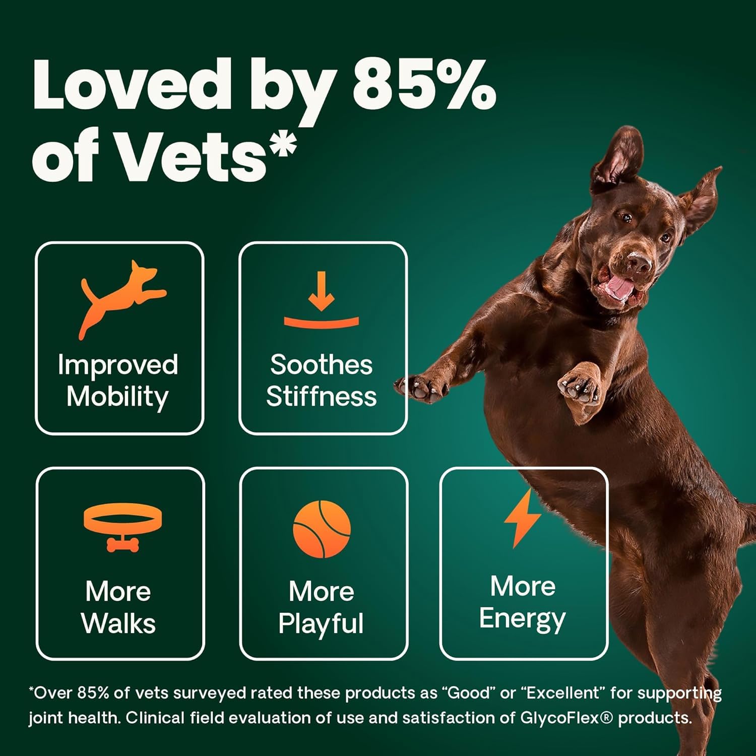 VetriScience Ultimate Strength Hip & Joint Supplement for Dogs, GlycoFlex Plus – MSM, Chondroitin & Green-Lipped Mussel Chews for Mobility, Flexibility, Comfort & Support, Peanut Butter Flavor 120 Cnt VETRISCIENCE Au supplements