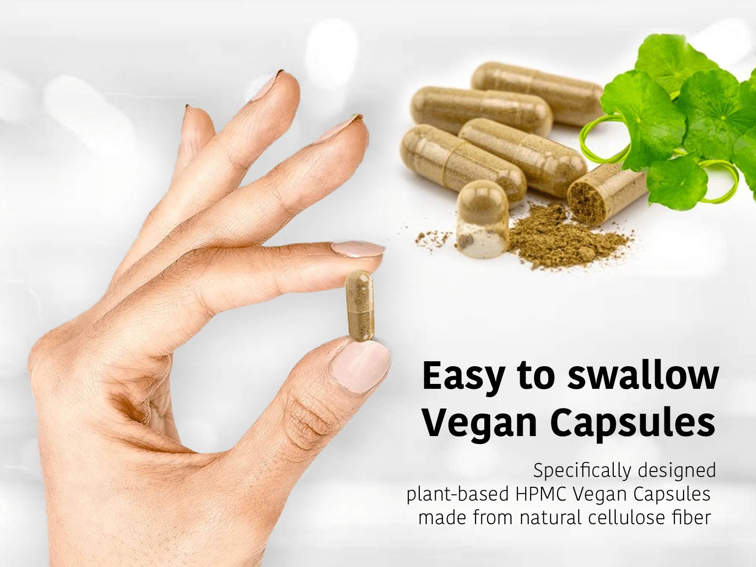 DR WAKDE's Organic Lodhra Capsules (Symplocos racemosa) I 100% Natural Herbal Supplement I 60 Veggie Capsules DR WAKDE's Au supplements