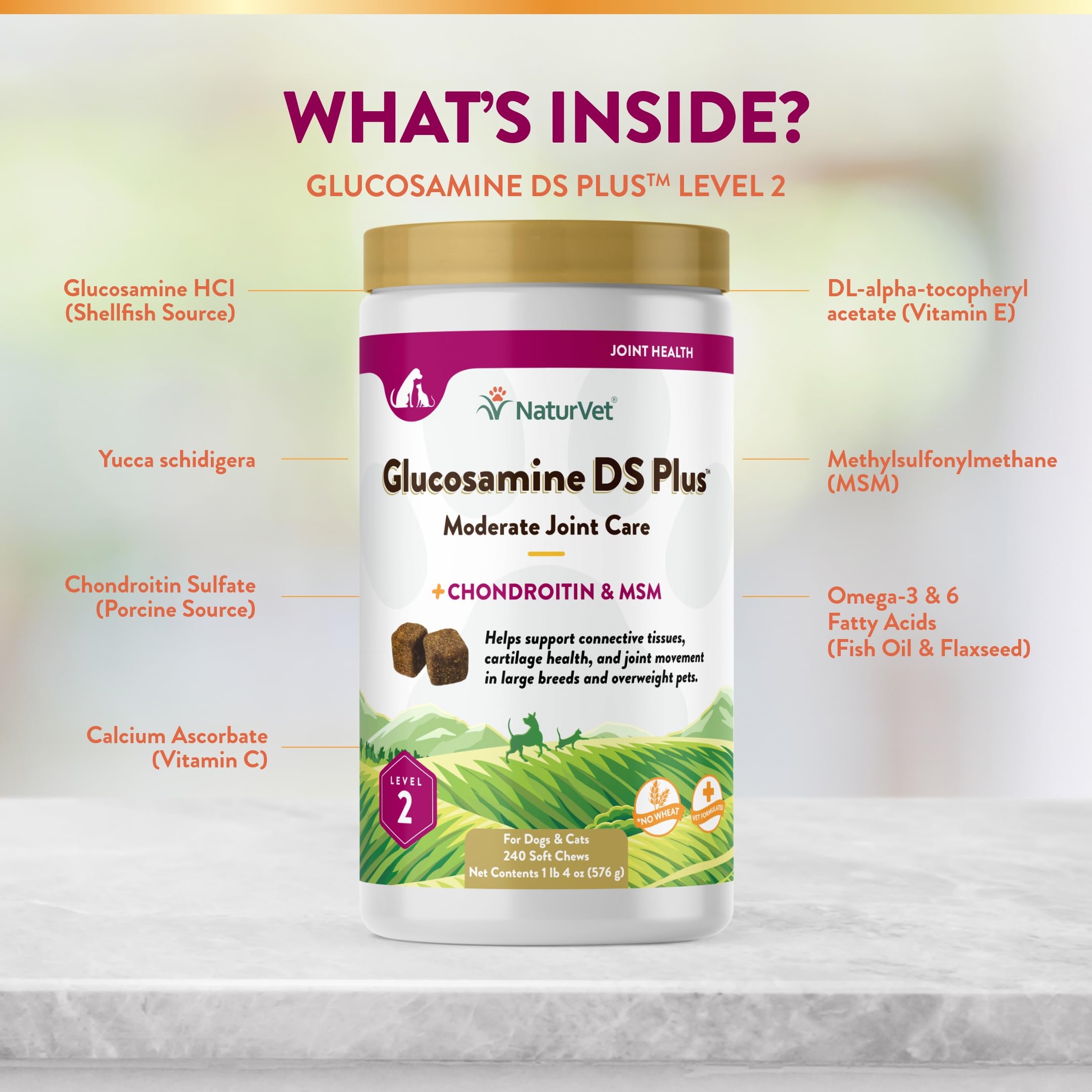 NaturVet – Glucosamine DS Plus - Level 2 Moderate Care – Supports Healthy Hip & Joint Function – Enhanced with Glucosamine, MSM & Chondroitin – for Dogs & Cats – 240 Soft Chews NaturVet Au supplements