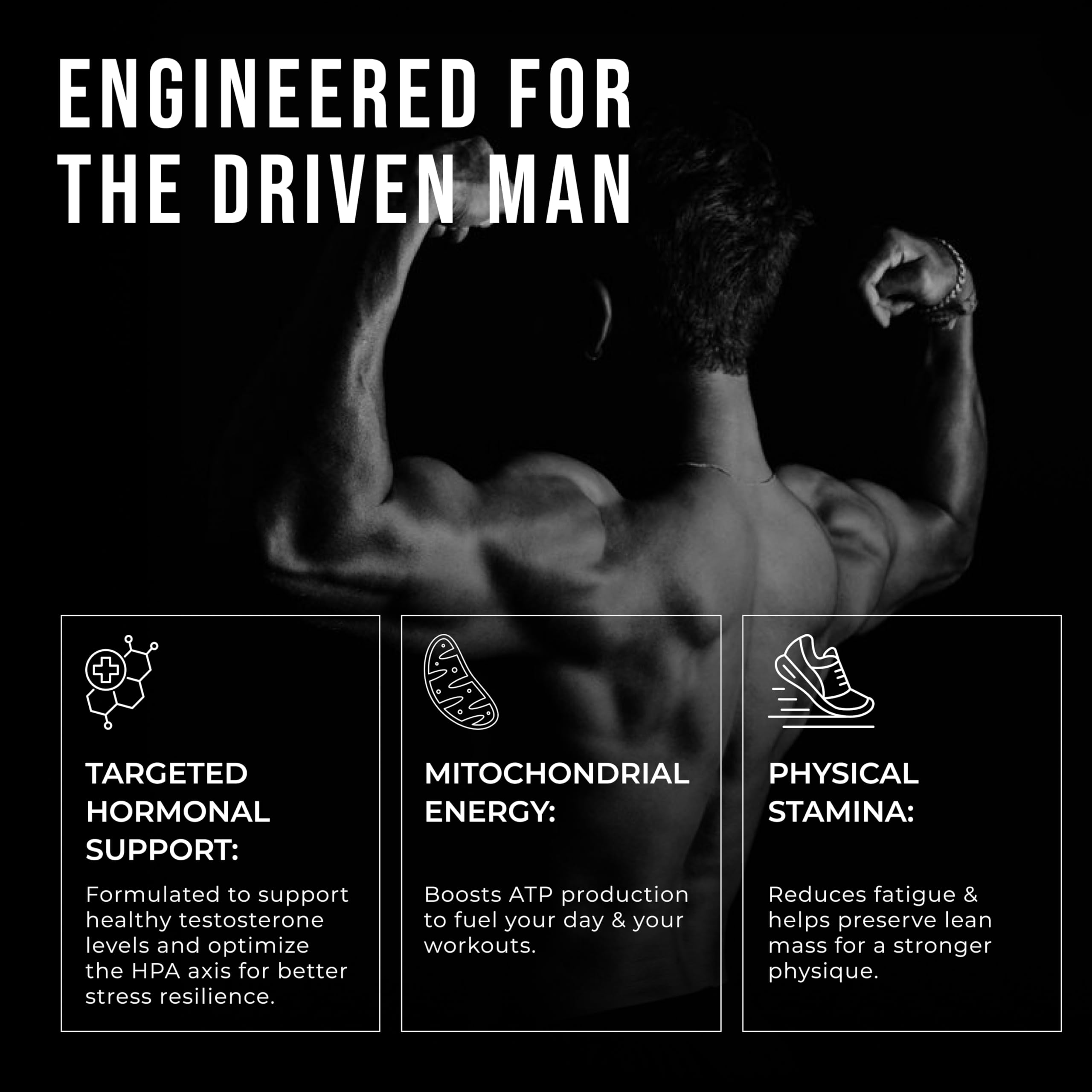 ERODUS Formula for Men - Advanced Testosterone Support Powder - Energy & Gym Supplement for Men - Supports Healthy Testosterone Levels & Physical Performance - with Ashwagandha (30 Day Supply) ERODUS Au supplements