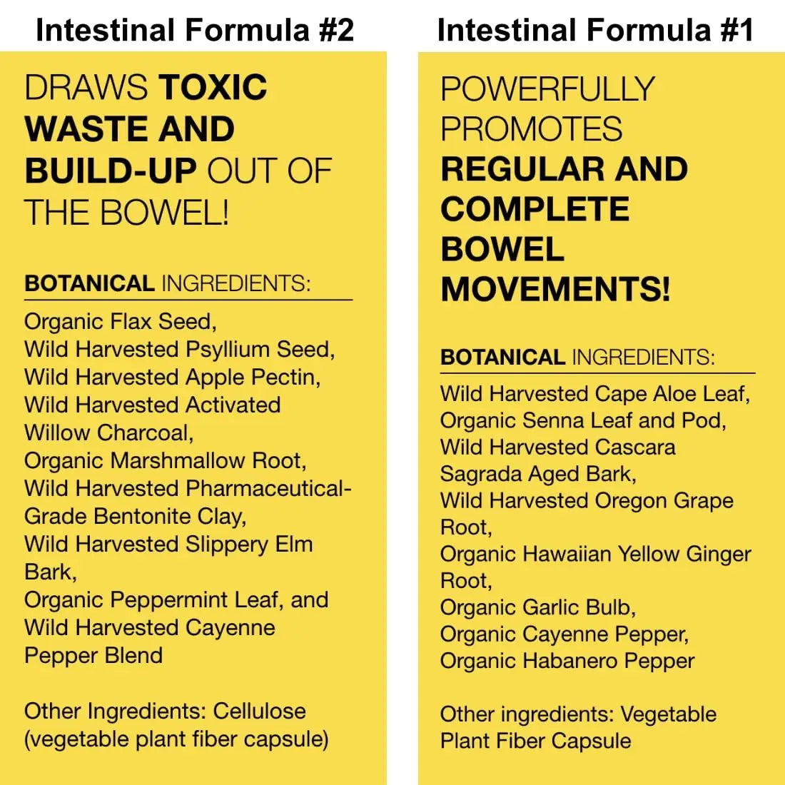 Dr. Schulze's Intestinal Formula #2 (8 Ounces) and Intestinal Formula #1 Capsules Dr. Schulze's Au supplements
