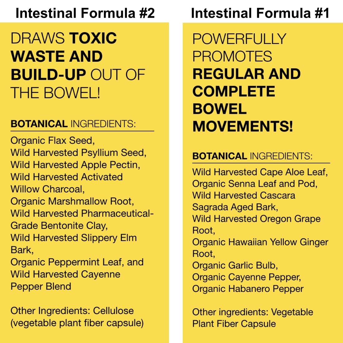 Dr. Schulze's Intestinal Formula #2 (8 Ounces) and Intestinal Formula #1 Capsules Dr. Schulze's Au supplements