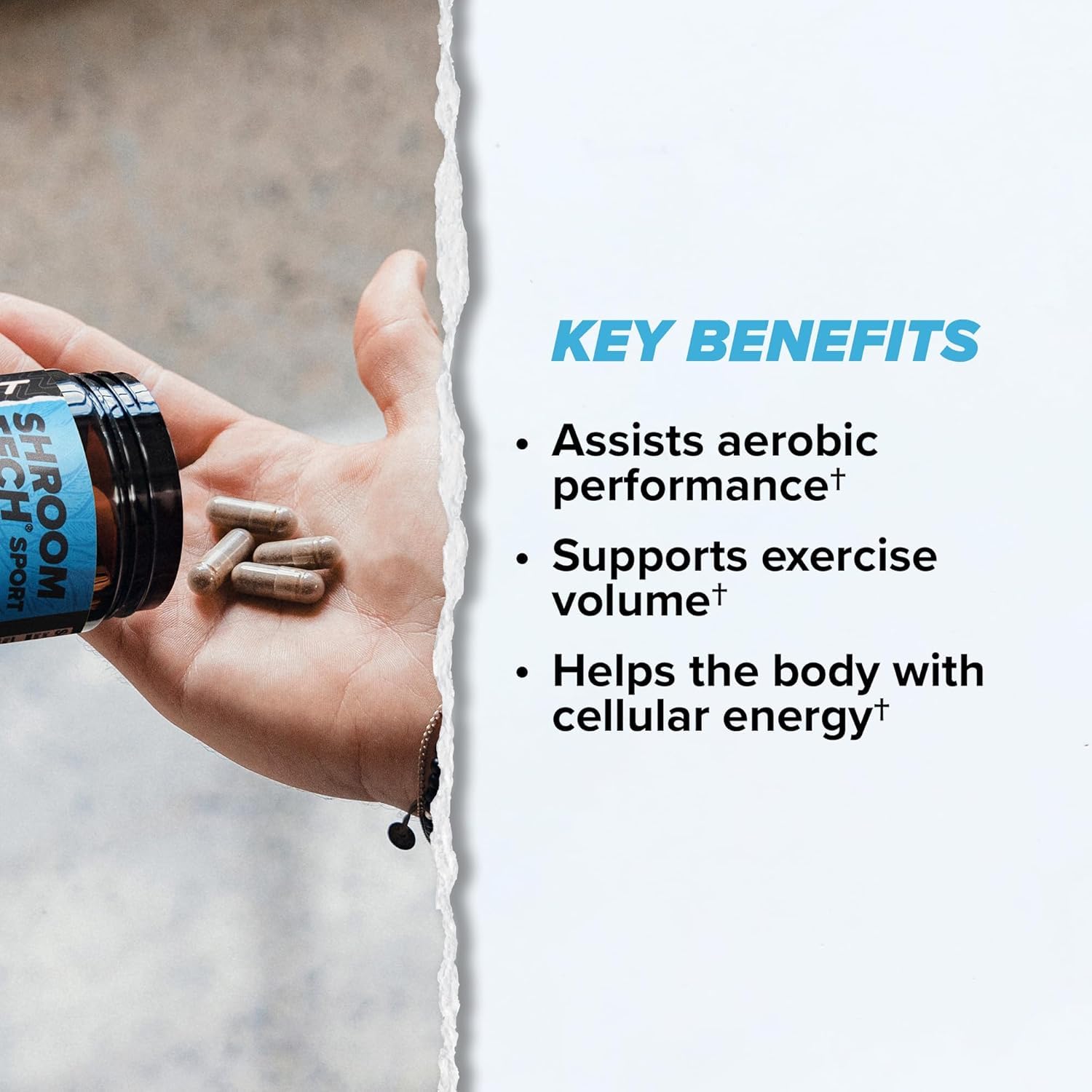 ONNIT Cognitive & Endurance Support Bundle: Alpha Brain Nootropic Capsules (30 Count) + Shroom Tech Sport Exercise Support Capsules (28 Count), IGEN Non-GMO Tested Focus, Energy & Endurance, 2 Pack ONNIT Au supplements