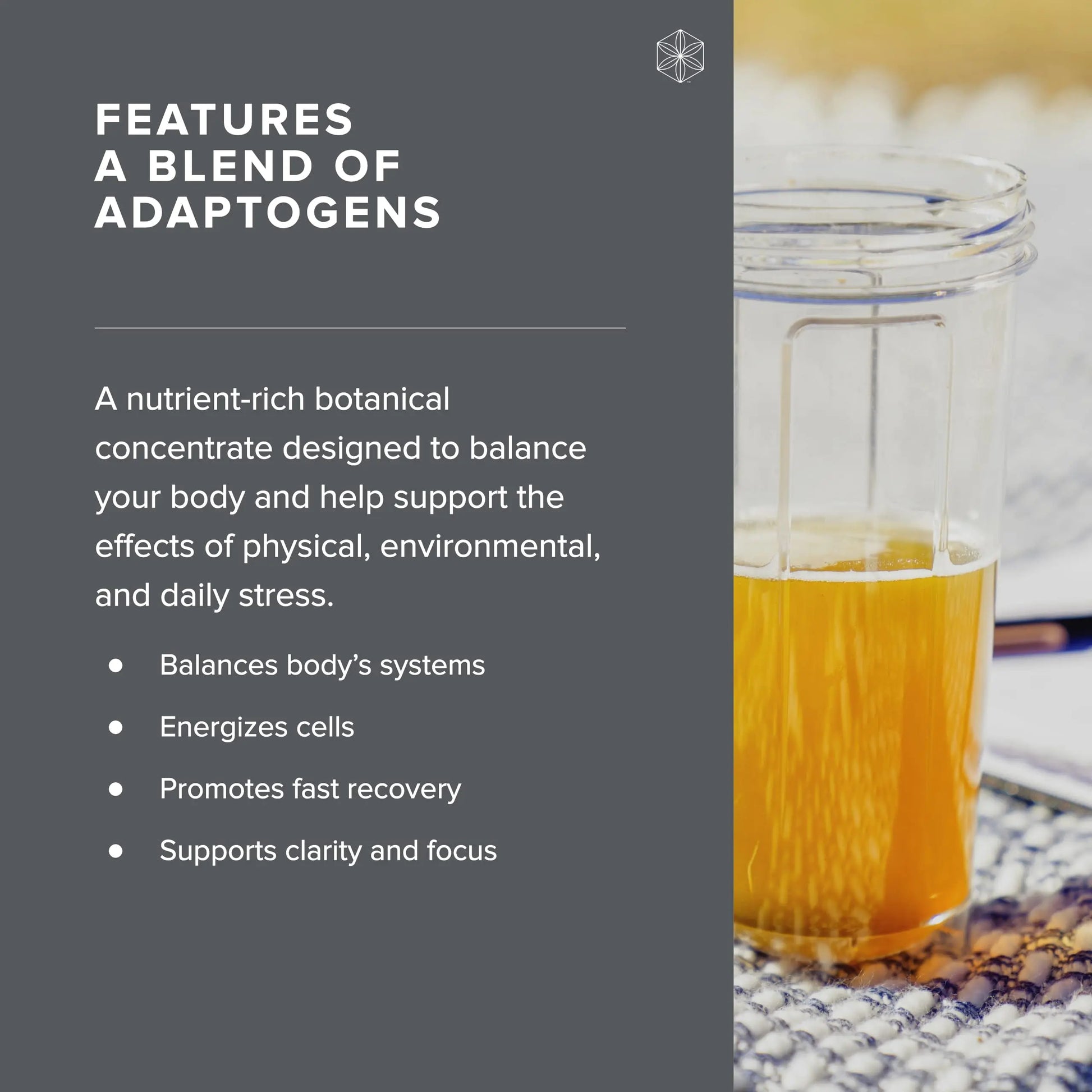 Isagenix Ionix Supreme - Powder Supplement with Vitamin B12 & Niacin - Focus Supplemen Isagenix Au supplements