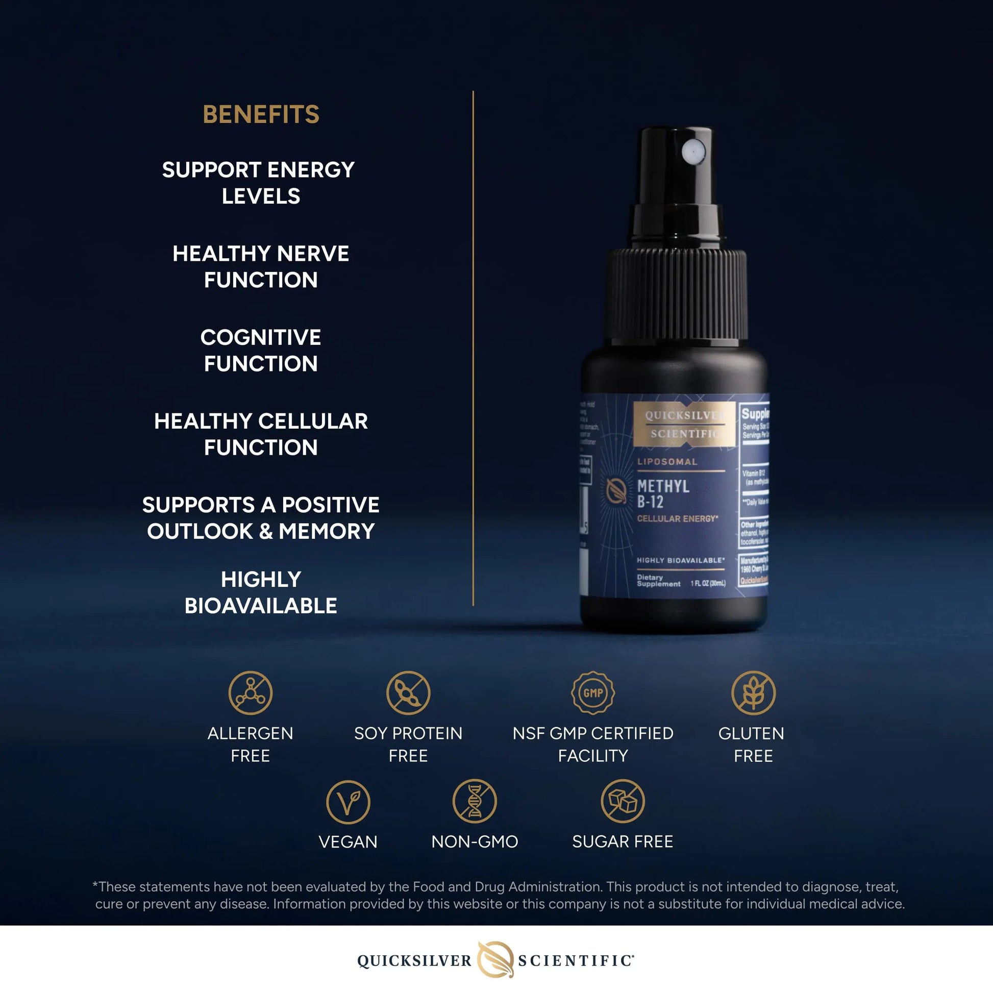 Quicksilver Scientific Methyl B12-1000mcg Vitamin B12 as Methylcobalamin - with Nano Technology for Superior Absorption - Supportive Energy Supplement (30ml / 90 Servings) Quicksilver Scientific Au supplements