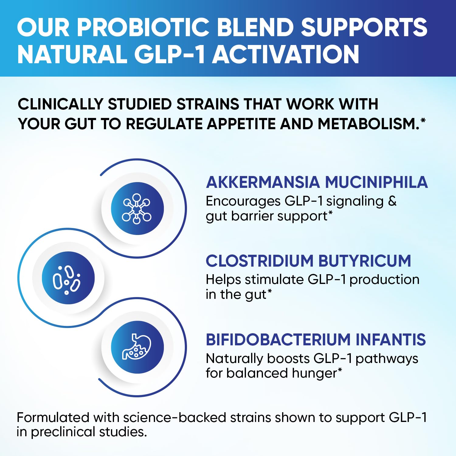 GLP-1 XLR8 Supplement for Weight Loss, Digestion, Constipation, Bloating Relief with Akkermansia 2.6 Billion AFU Live Prebiotic Probiotic Postbiotic Gut Health + Berberine for Women Men 60 Capsules Snappy Scripts Au supplements