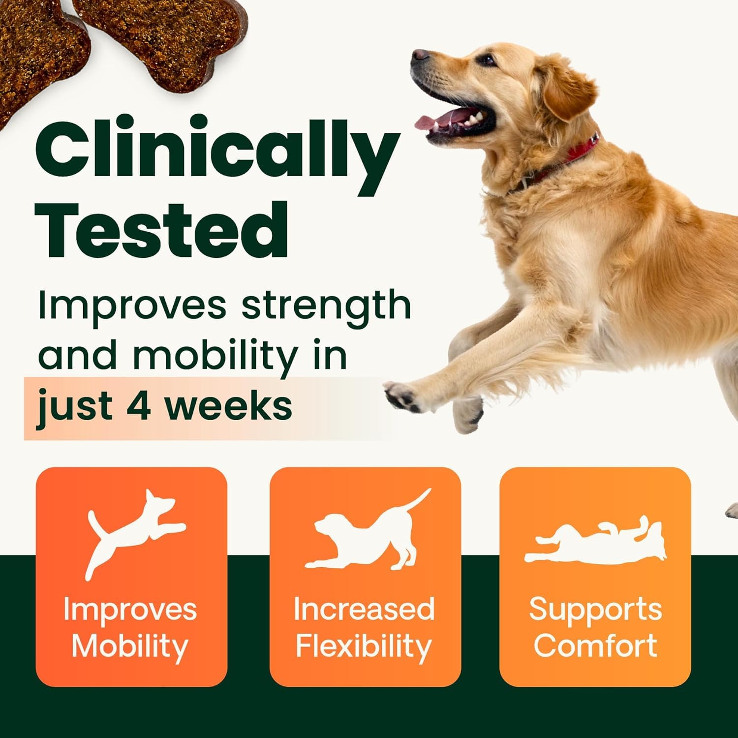 VetriScience Ultimate Strength Hip & Joint Supplement for Dogs, GlycoFlex Plus – MSM, Chondroitin & Green-Lipped Mussel Chews for Mobility, Flexibility, Comfort & Support, Peanut Butter Flavor 120 Cnt VETRISCIENCE Au supplements