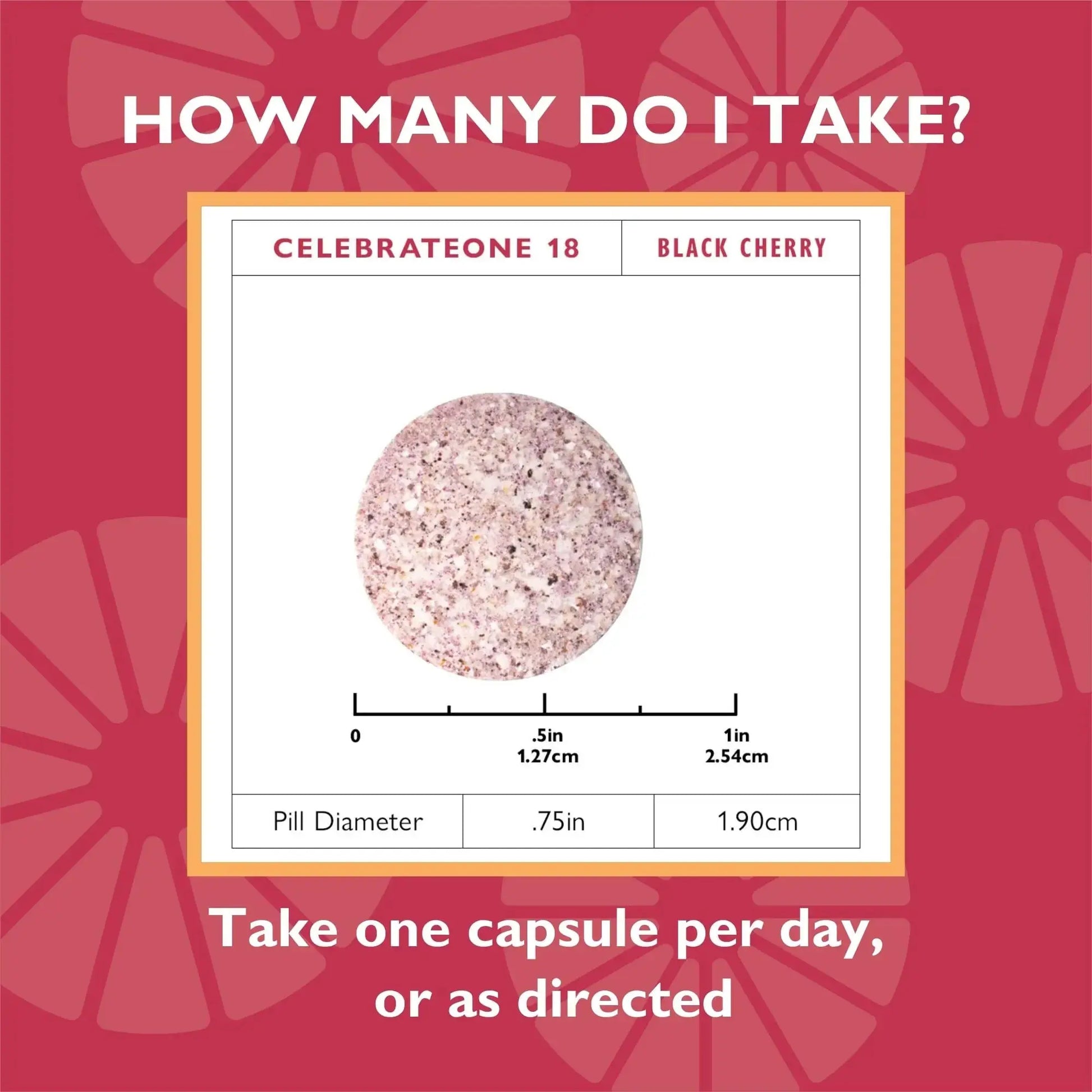 Celebrate Vitamins CelebrateONE 18 Chewables, 18mg Iron - Once Daily Bariatric Multivitamin, Essential Vitamins & Minerals Celebrate Bariatric Supplements Au supplements