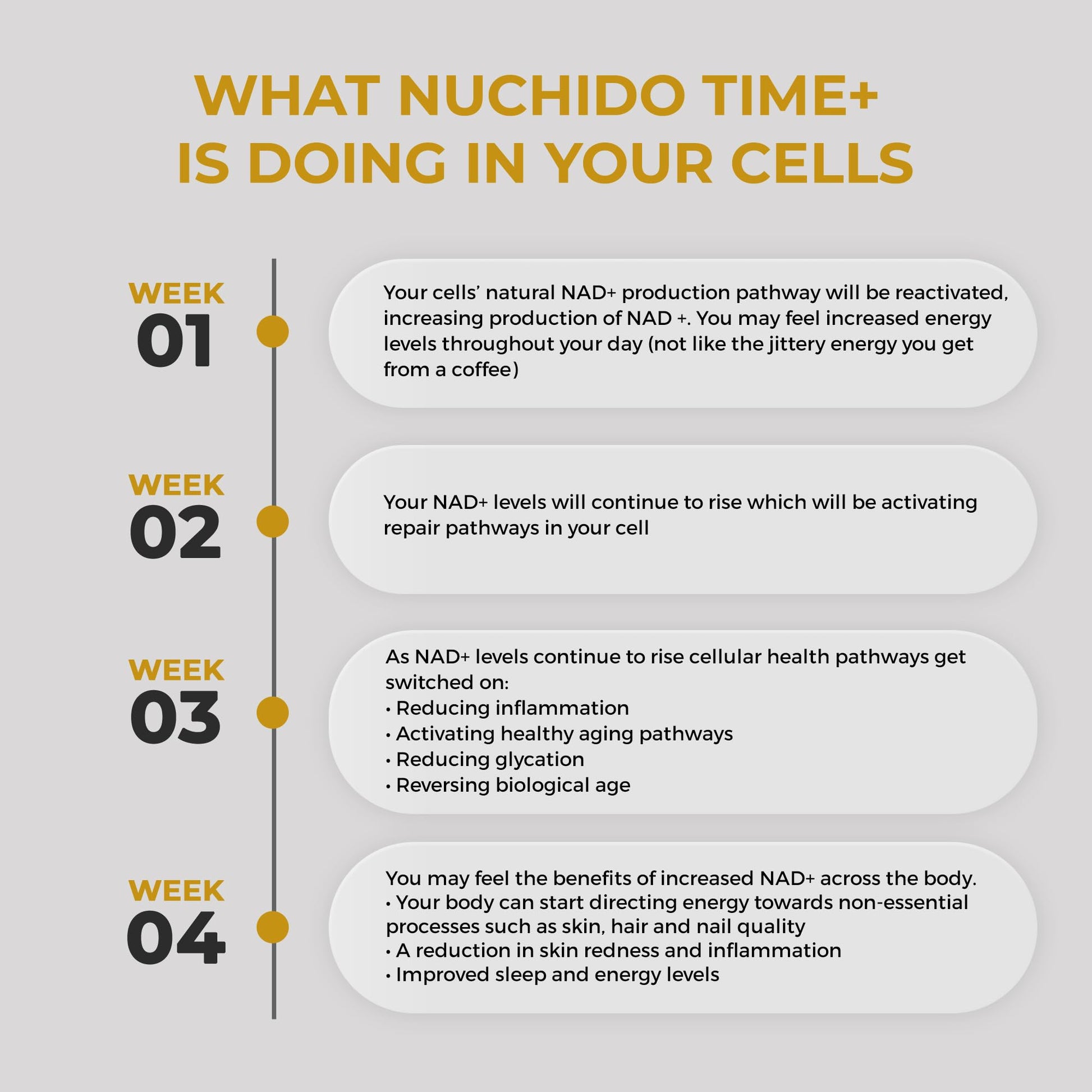 Nuchido Time+ NAD Supplement for Men & Women - Advanced Formula for Healthy Aging, Energy, Focus, Cellular Health & Longevity - Nicotinamide, Alpha Lipoic Acid, Quercetin - 90 Capsules Nuchido Time+ Au supplements