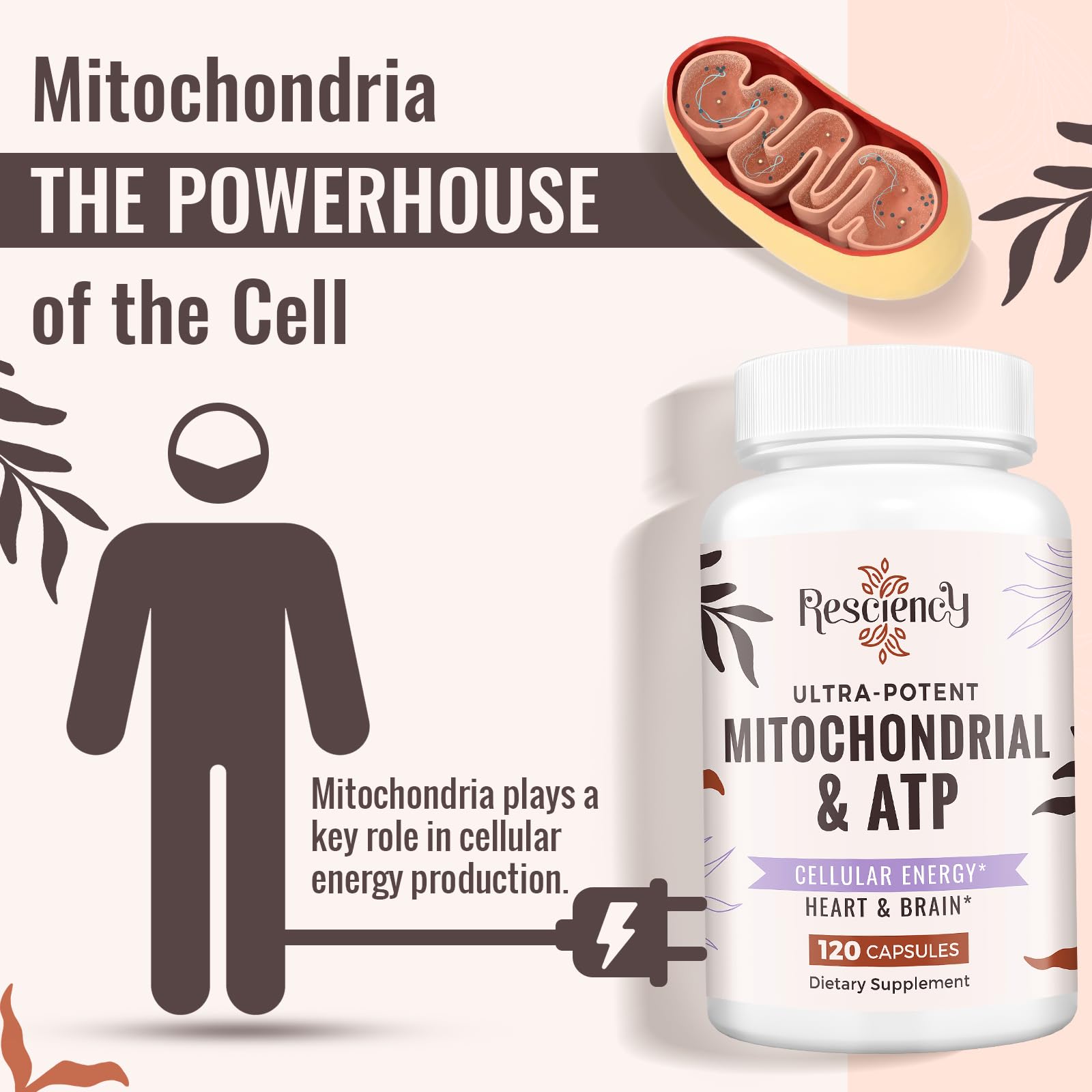 Resciency 2326 MG Mitochondrial Supplements with ATP, Vitamins, CoQ10 & PQQ, More Effective Than Creatine HMB & Nitric Oxide, Energy, Endurance, Strength, Recovery & Muscle, Organic, 120 Capsules Resciency Au supplements