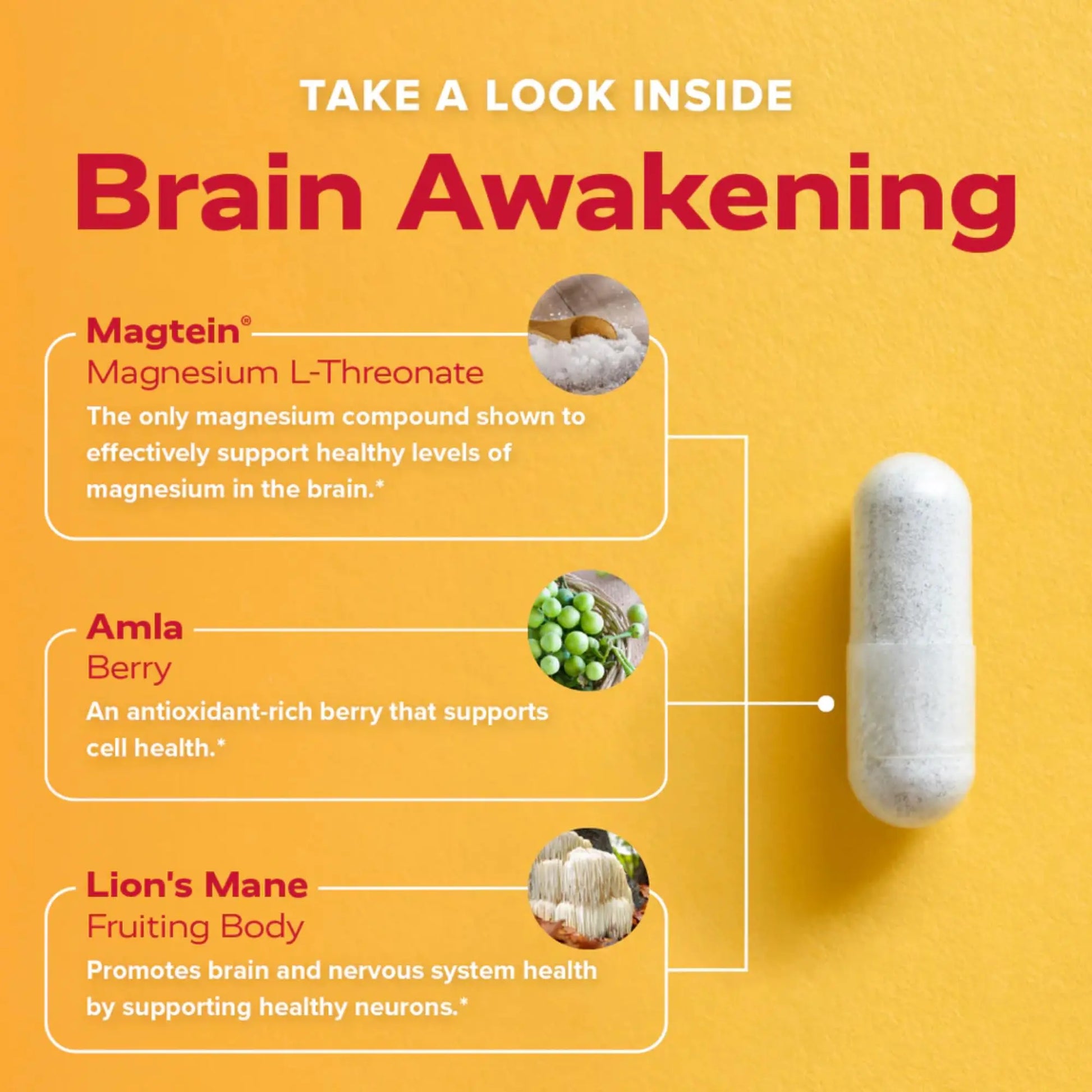Redd Remedies, Brain Awakening, Supports Cognitive Function and Focus, 120 Vegan Capsules Redd Remedies Au supplements