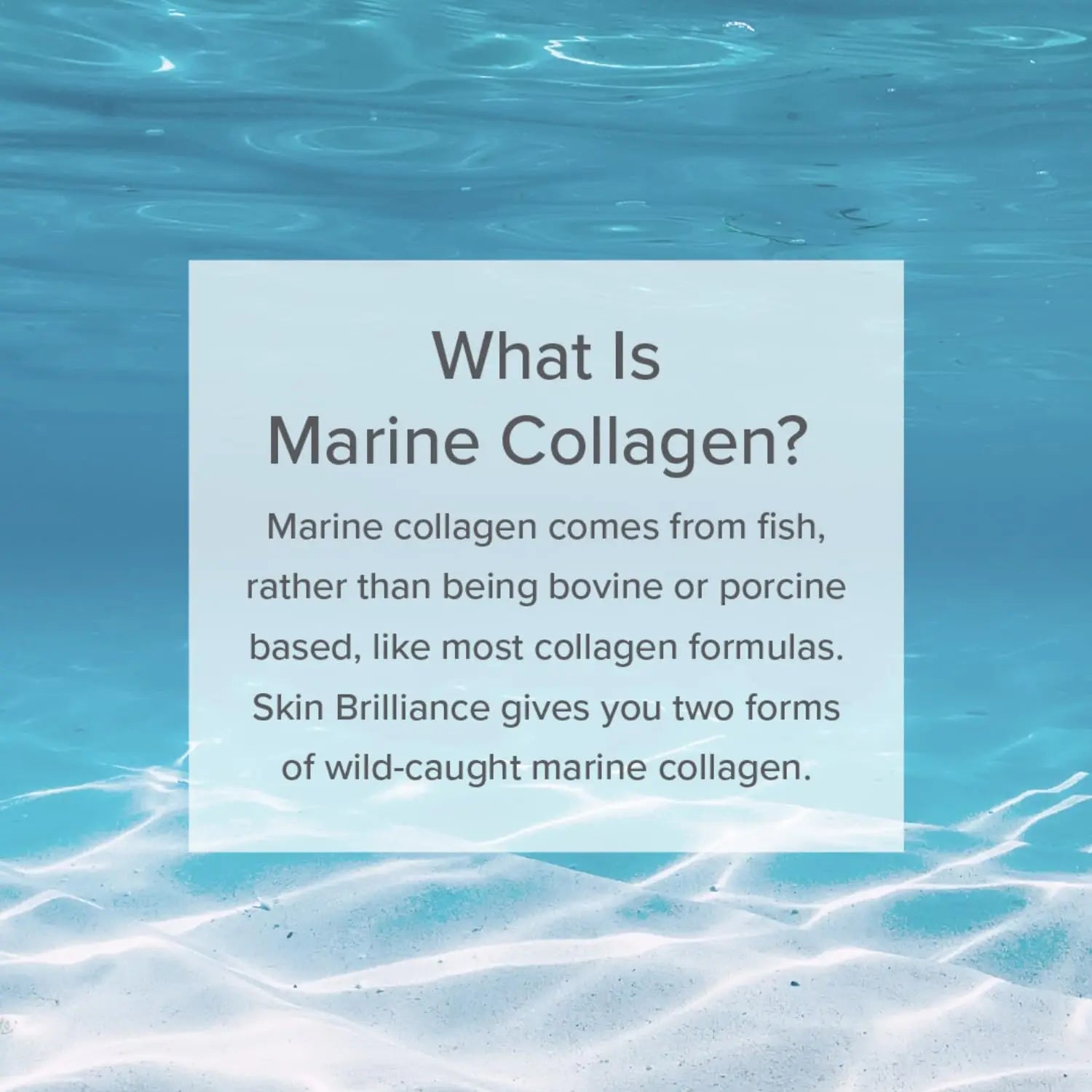 Serovital Skin Brilliance Marine Collagen – Hydrolyzed Marine Collagen Peptides Serovital Au supplements