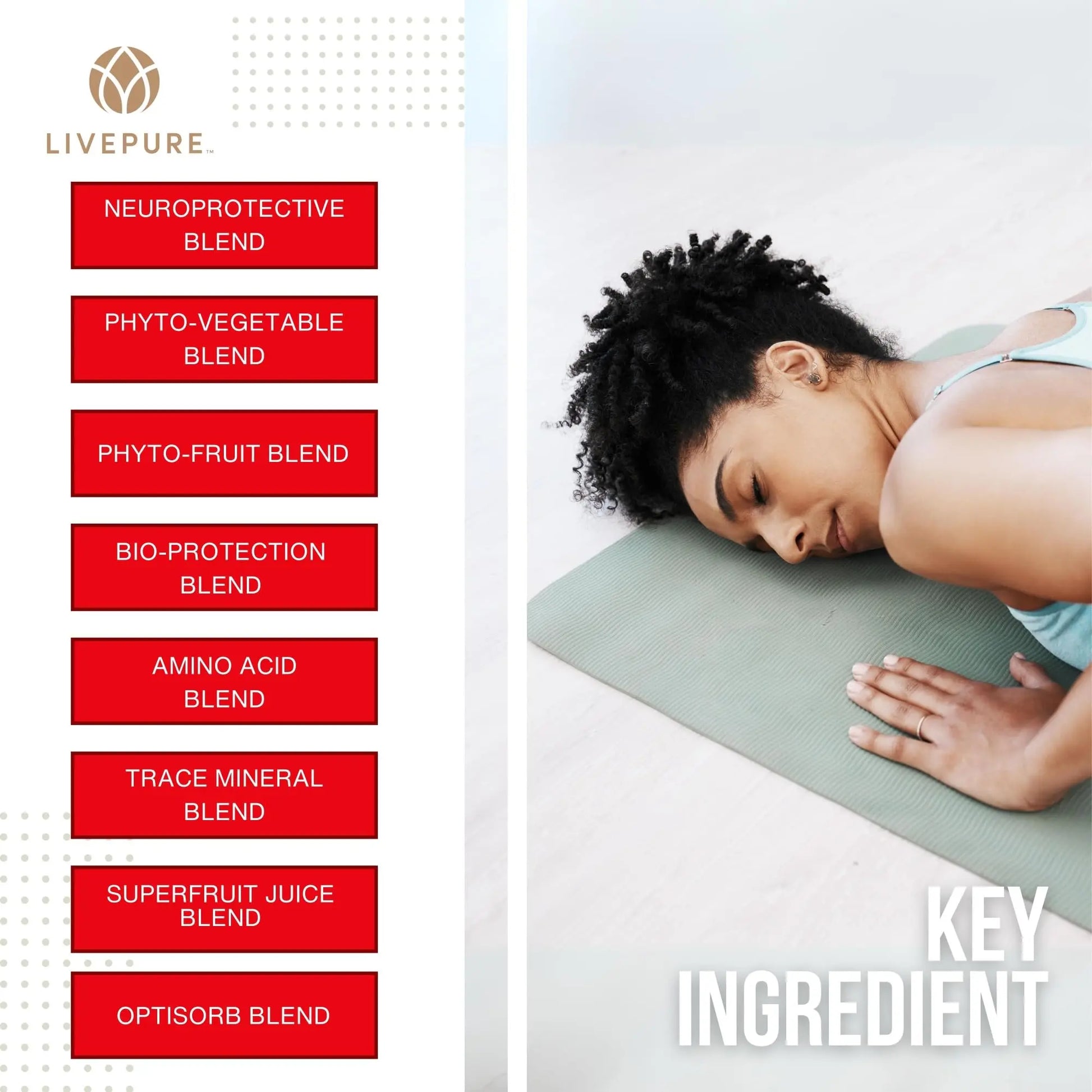 PURE Daily Build | 120 Capsules | Advanced Multivitamin Supplement | Enhanced with Essential Vitamins, Minerals PURE Au supplements