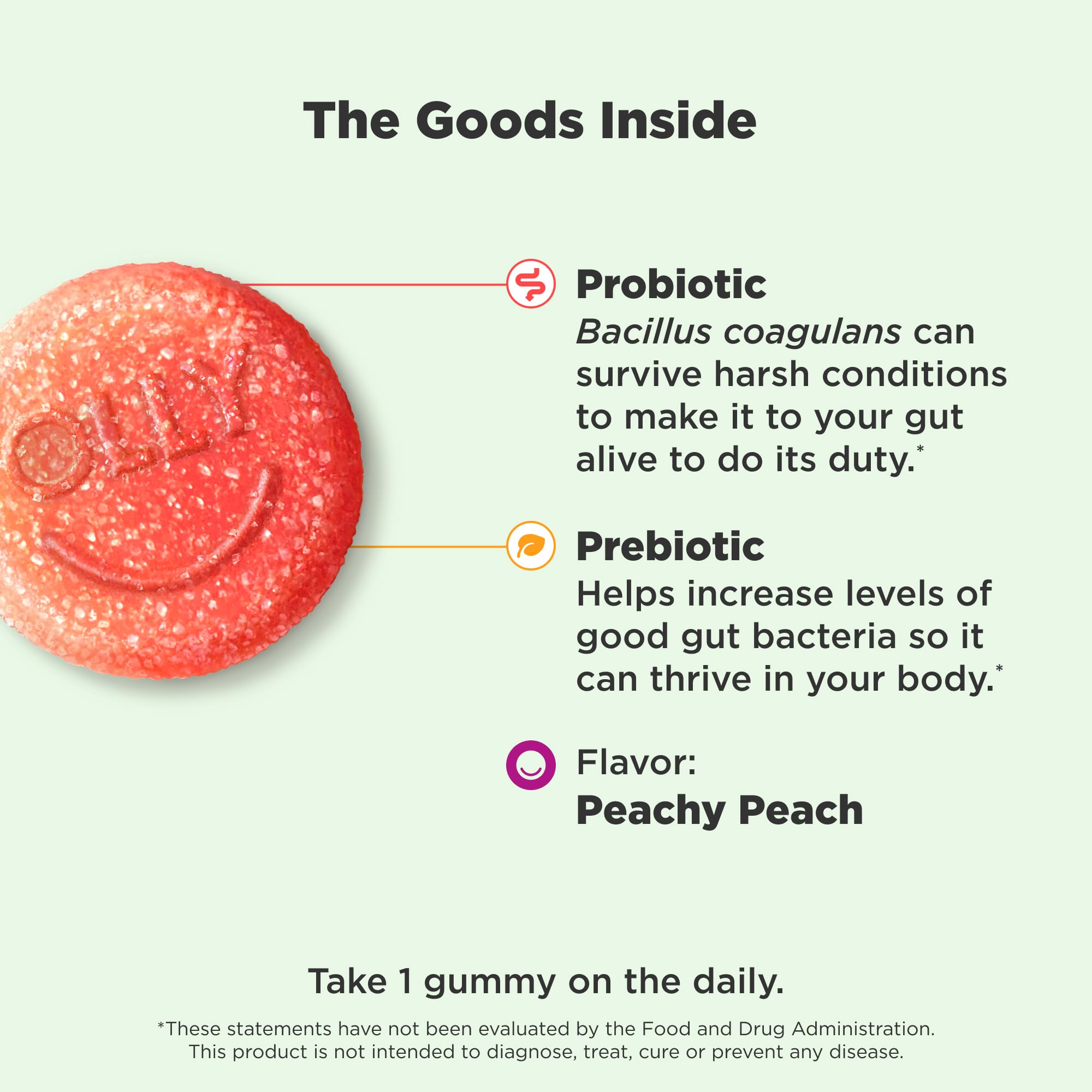 OLLY Probiotic + Prebiotic Gummy, Digestive Support and Gut Health, 500 Million CFUs, Fiber, Adult Chewable Supplement OLLY Au supplements
