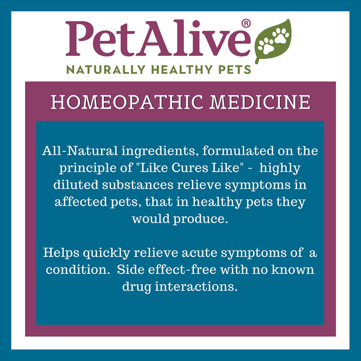 PetAlive Muscle and Joint Support-M - Natural Homeopathic Formula for Joint Pain and Stiffness in Pets - Supports Joint Health and Movement in Dogs and Cats - 59 mL PetAlive Au supplements