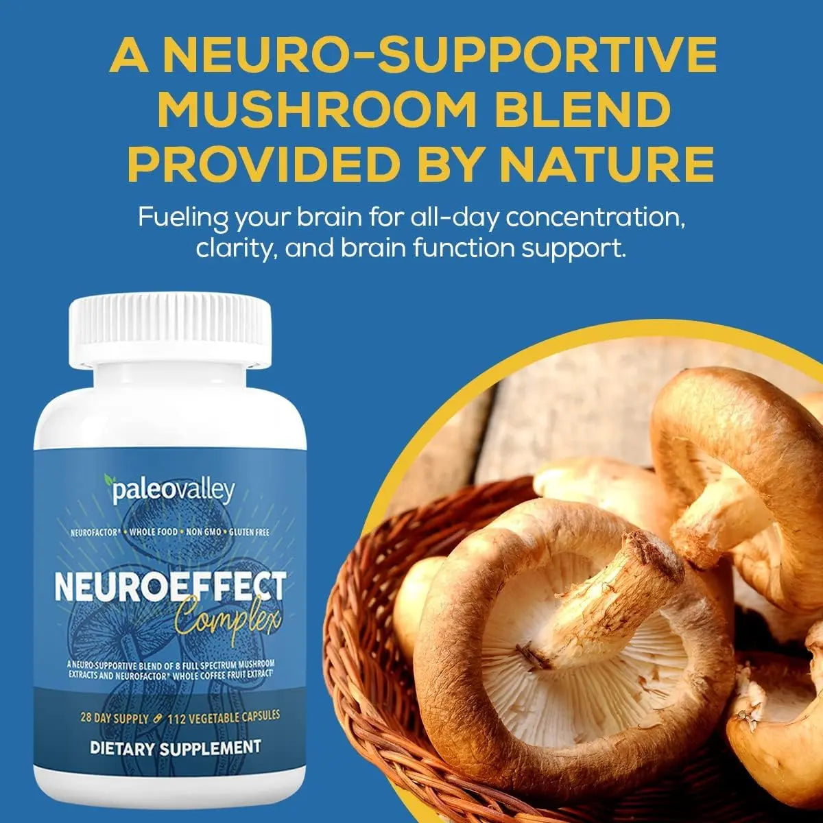 Paleovalley NeuroEffect - Neuro Mushroom Coffee Nutritional Supplement for Focus, Memory, and Energy Support - 28-Day Supply - 8 Full Spectrum Mushroom and Whole Coffee Fruit Extracts Paleovalley Au supplements