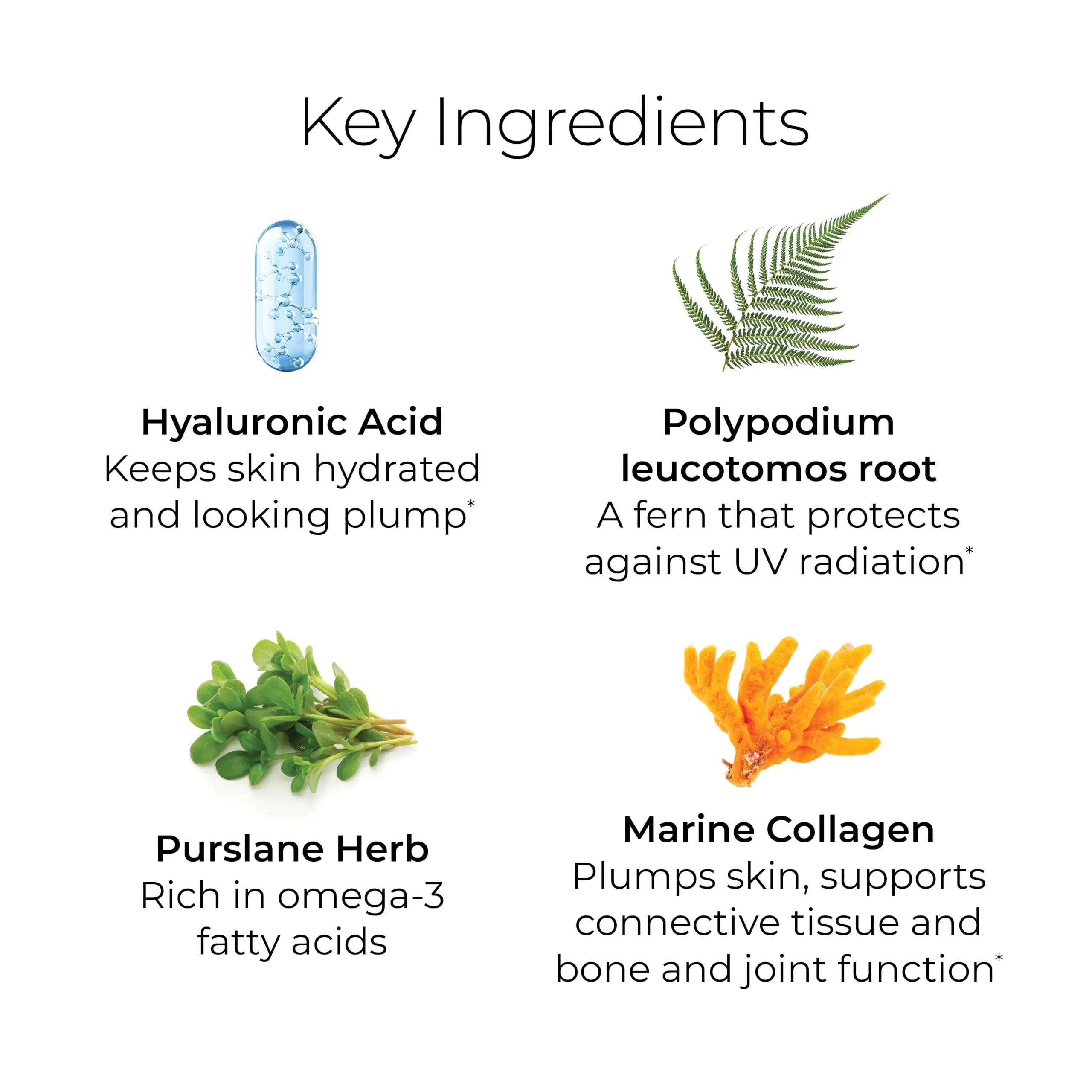 Hush & Hush TimeCapsule Multivitamin, Women's Multivitamin, Men's Multivitamin, Clean Nutraceuticals Supplements That Contains Hyaluronic Acid Hush & Hush Au supplements
