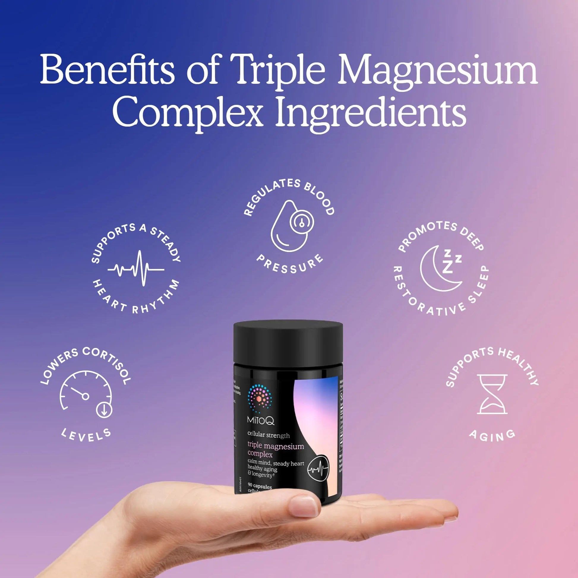 MitoQ Triple Magnesium Complex | Magnesium Glycinate, Taurinate, Oxide with GABA for Heart Health, Stress Management, & Deeper Sleep | High Absorption | 90 Capsules MitoQ Au supplements
